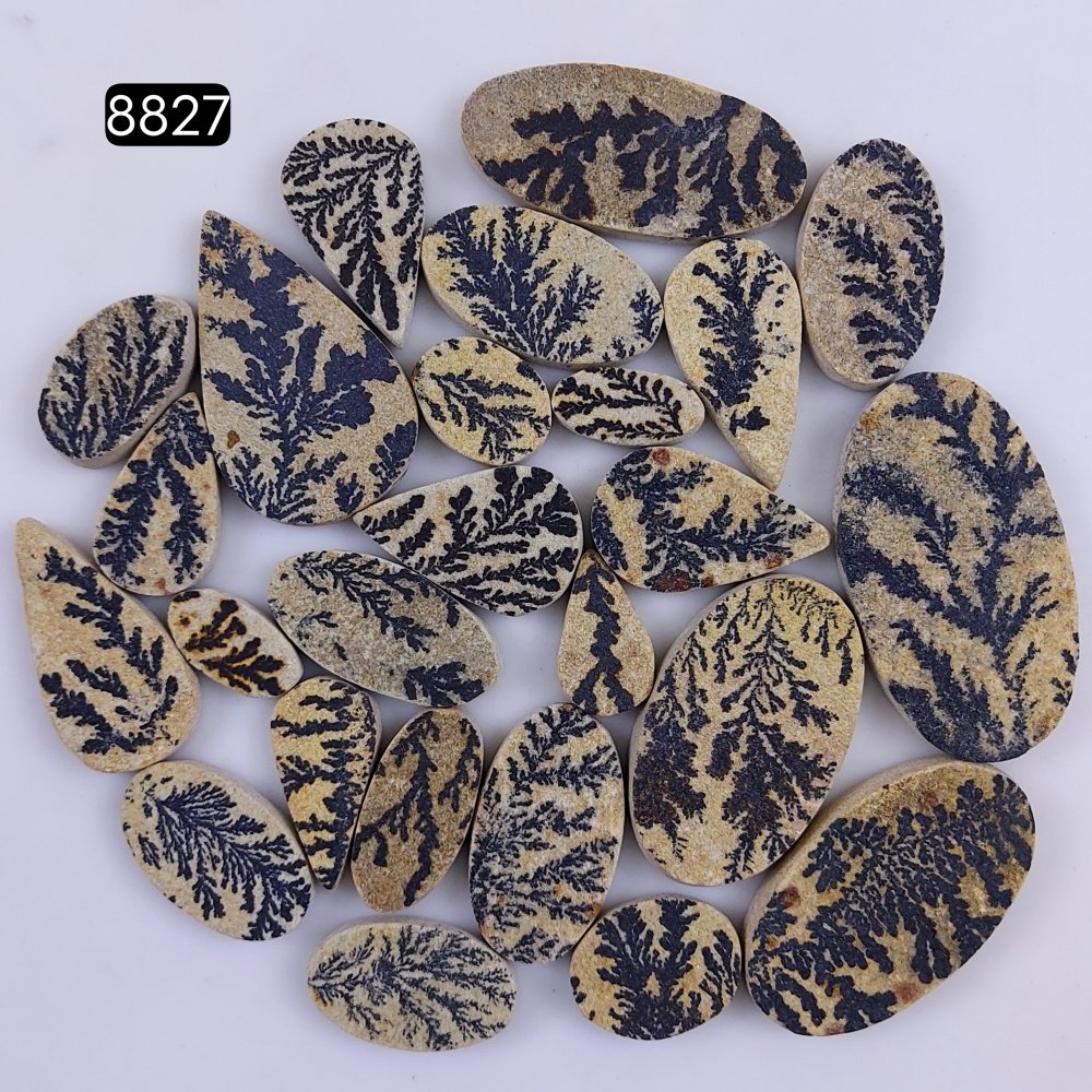 25Pcs 779Cts  Natural Manganese Dendrites Loose Gemstone Cabochon Mix shapes and Size Lot 52x28 18x13mm#8827