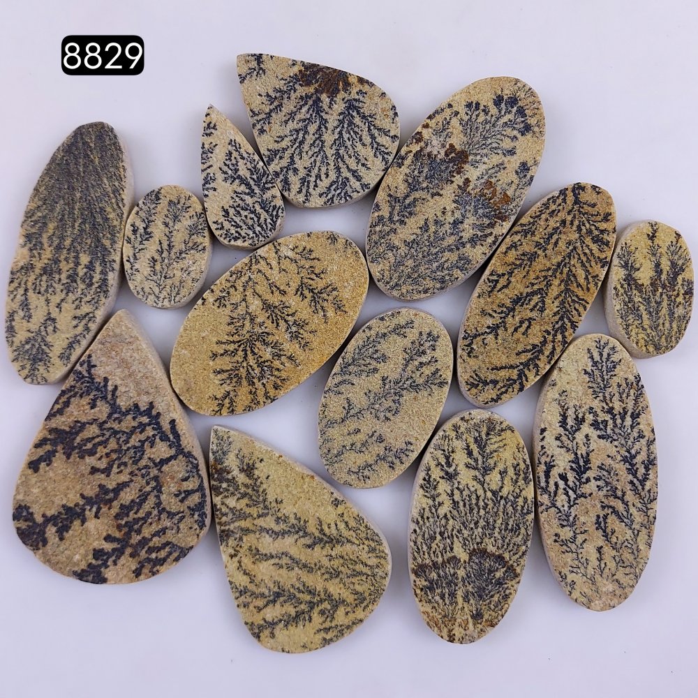 13Pcs 738Cts  Natural Manganese Dendrites Loose Gemstone Cabochon Mix shapes and Size Lot 54x38 23x15mm#R-8829