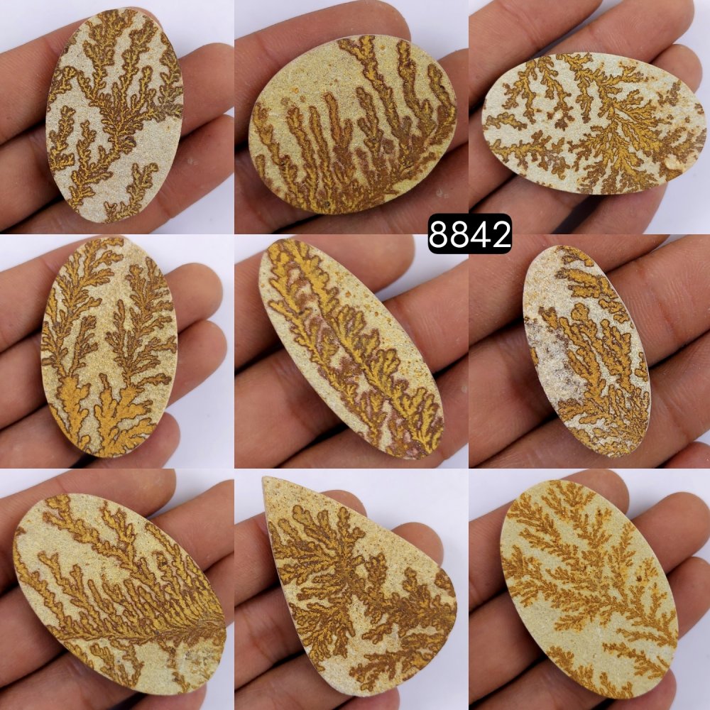 9Pcs 648Cts  Natural Manganese Dendrites Loose Gemstone Cabochon Mix shapes and Size Lot 56x36 35x27mm#8842