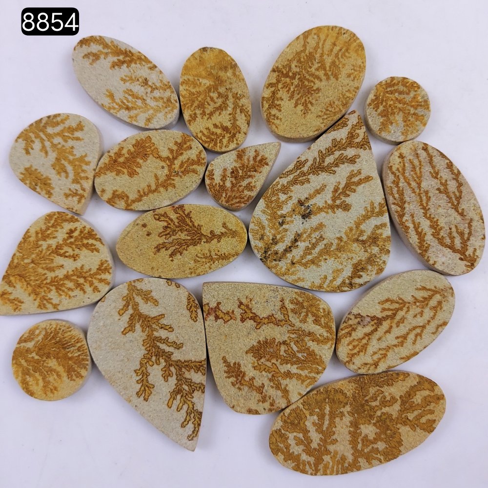 16Pcs 615Cts  Natural Manganese Dendrites Loose Gemstone Cabochon Mix shapes and Size Lot 52x38 16x16mm#8854