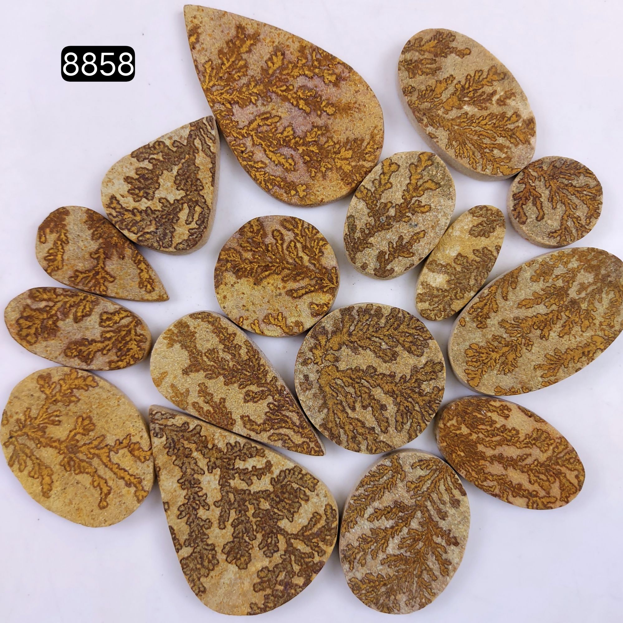 16Pcs 953Cts  Natural Manganese Dendrites Loose Gemstone Cabochon Mix shapes and Size Lot 65x37 21x21mm#8858