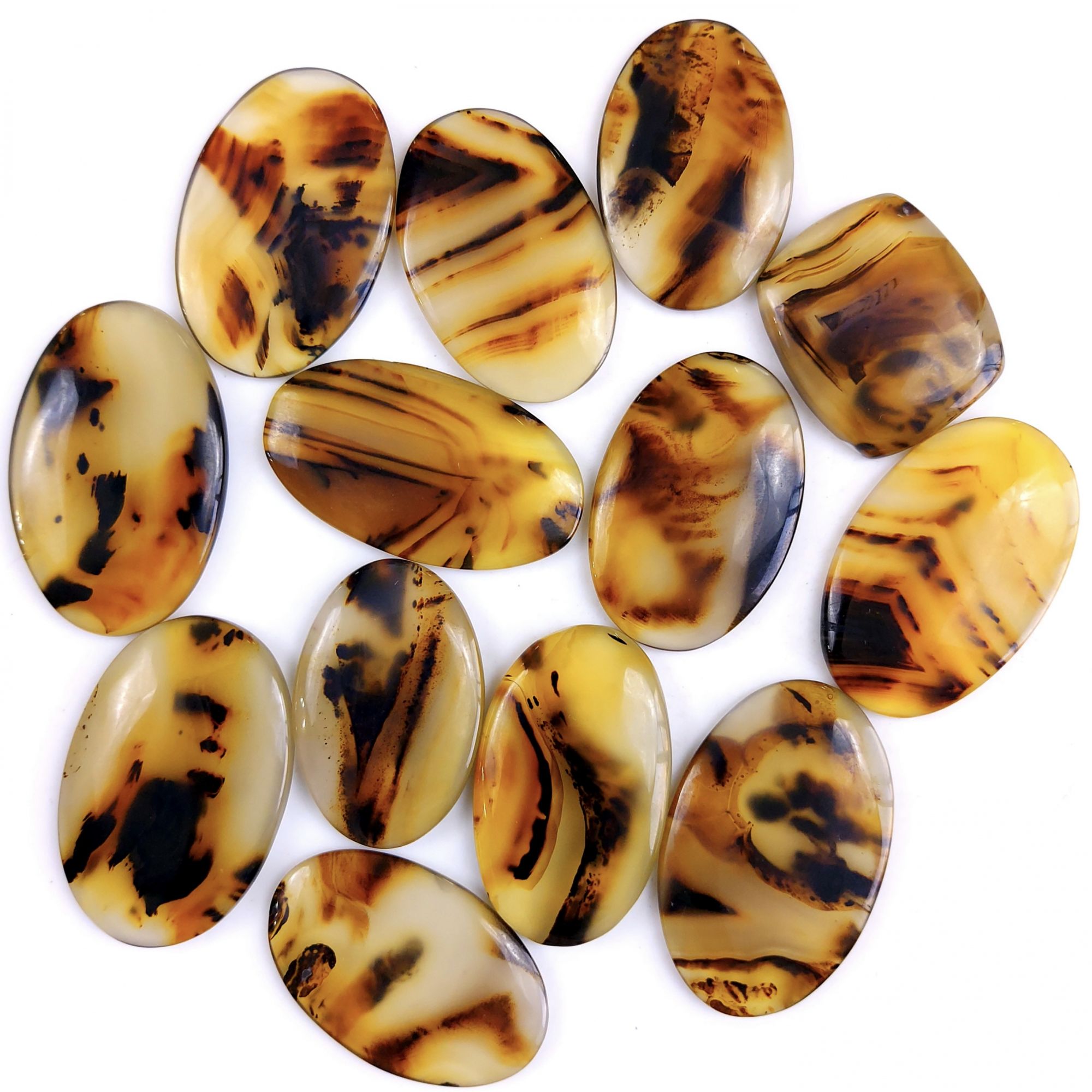 13Pcs 363Cts Natural Montana Agate Cabochon Lot Brown Flat Back Gemstone Crystal Wholesale Loose gemstone For Jewelry Making 35x21 22x22mm