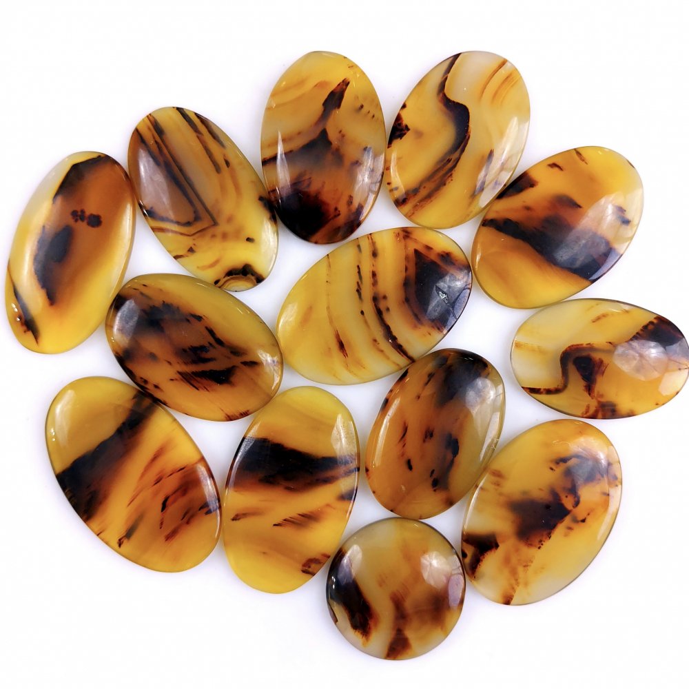 13Pcs 363Cts Natural Montana Agate Cabochon Lot Brown Flat Back Gemstone Crystal Wholesale Loose gemstone For Jewelry Making 32x20 20x20mm