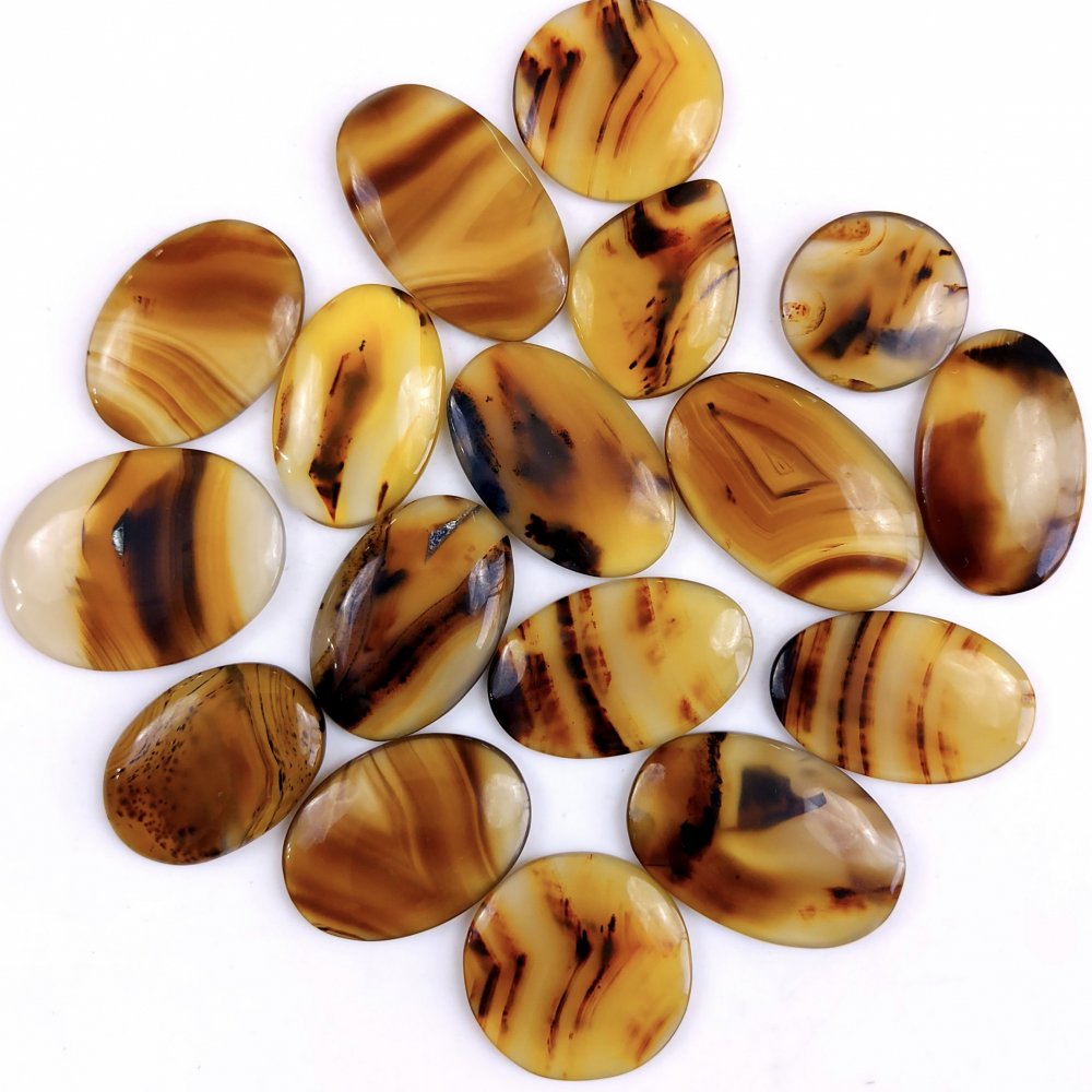 17Pcs 415Cts Natural Montana Agate Cabochon Lot Brown Flat Back Gemstone Crystal Wholesale Loose gemstone For Jewelry Making 35x25 20x20mm