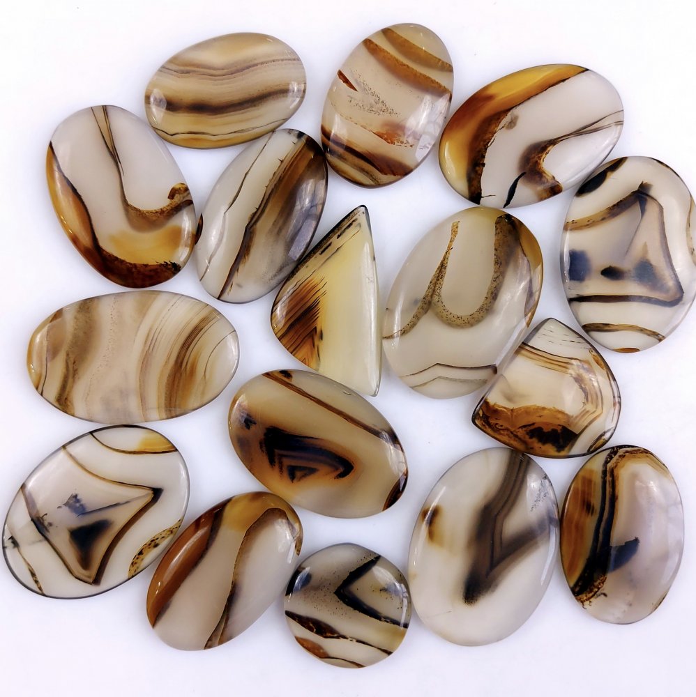 16Pcs 472Cts Natural Montana Agate Cabochon Lot Brown Flat Back Gemstone Crystal Wholesale Loose gemstone For Jewelry Making 36x24 19x19mm
