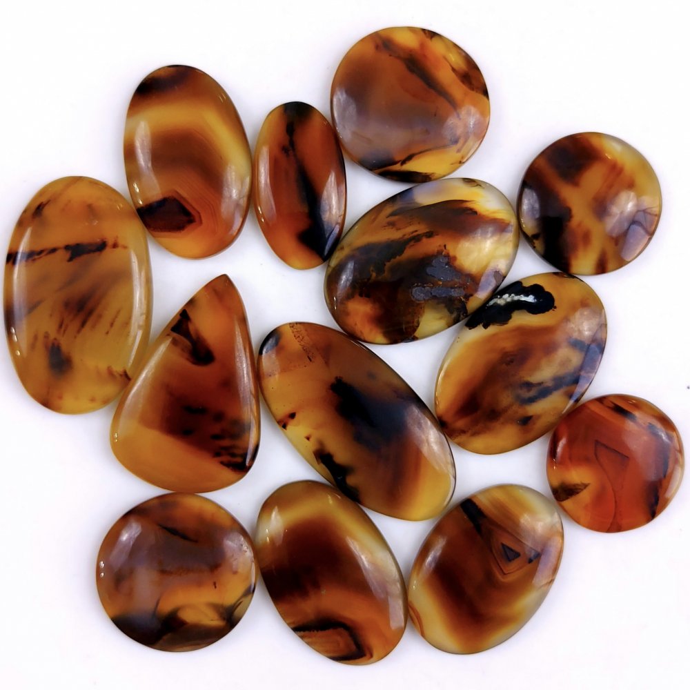 13Pcs 360Cts Natural Montana Agate Cabochon Lot Brown Flat Back Gemstone Crystal Wholesale Loose gemstone For Jewelry Making 35x23 26x18mm