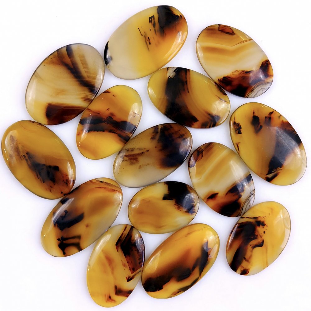 14Pcs 385Cts Natural Montana Agate Cabochon Lot Brown Flat Back Gemstone Crystal Wholesale Loose gemstone For Jewelry Making 31x31 25x18mm