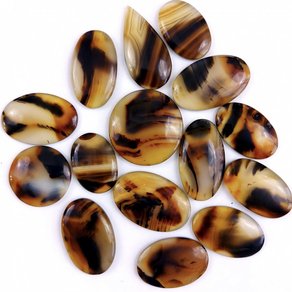 15Pcs 466Cts Natural Montana Agate Cabochon Lot Brown Flat Back Gemstone Crystal Wholesale Loose gemstone For Jewelry Making 36x26 27x17mm