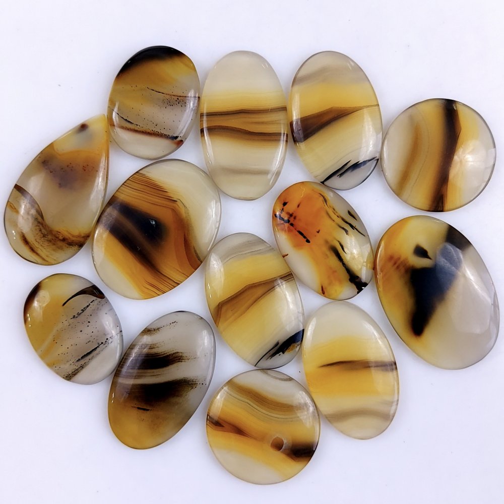 13Pcs 354Cts Natural Montana Agate Cabochon Lot Brown Flat Back Gemstone Crystal Wholesale Loose gemstone For Jewelry Making 31x31 27x18mm