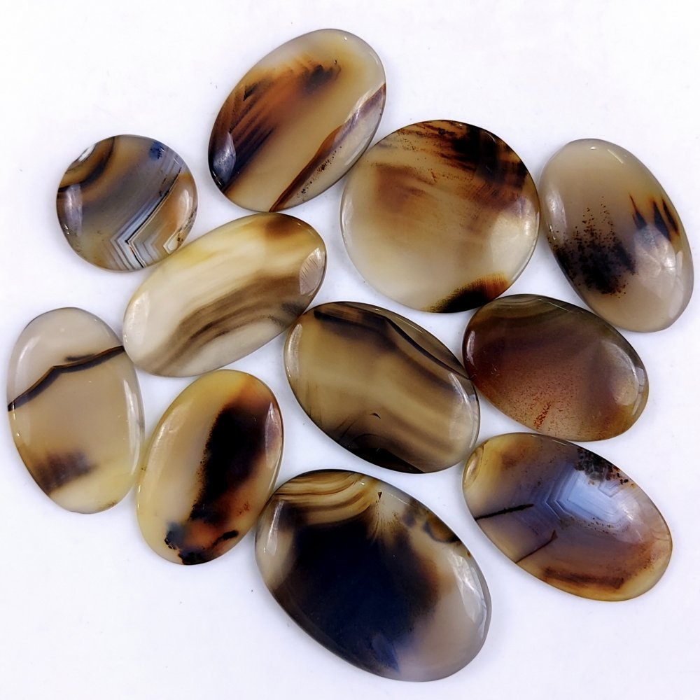 11Pcs 320Cts Natural Montana Agate Cabochon Lot Brown Flat Back Gemstone Crystal Wholesale Loose gemstone For Jewelry Making 30x30 18x18mm