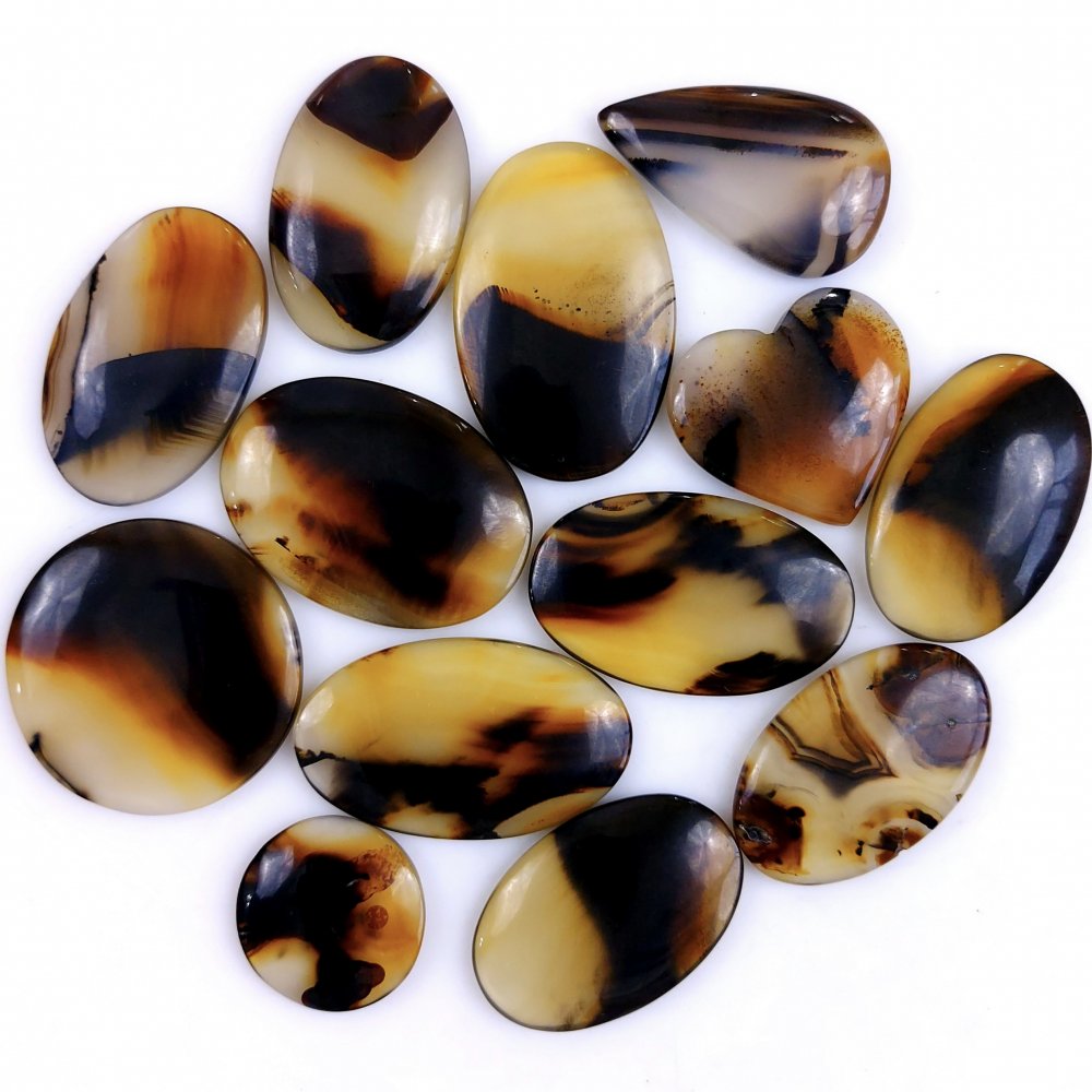 13Pcs 390Cts Natural Montana Agate Cabochon Lot Brown Flat Back Gemstone Crystal Wholesale Loose gemstone For Jewelry Making 40x20 21x21mm
