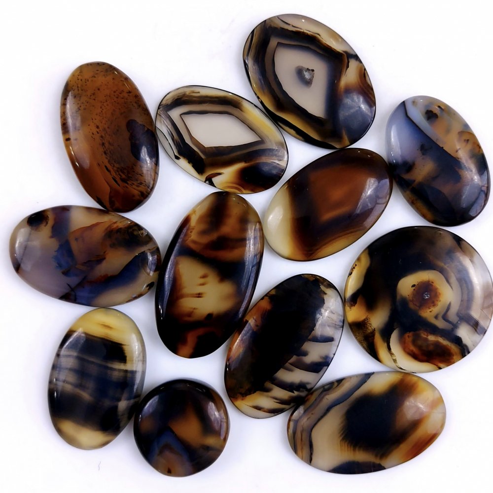 12Pcs 366Cts Natural Montana Agate Cabochon Lot Brown Flat Back Gemstone Crystal Wholesale Loose gemstone For Jewelry Making 37x13 22x13mm