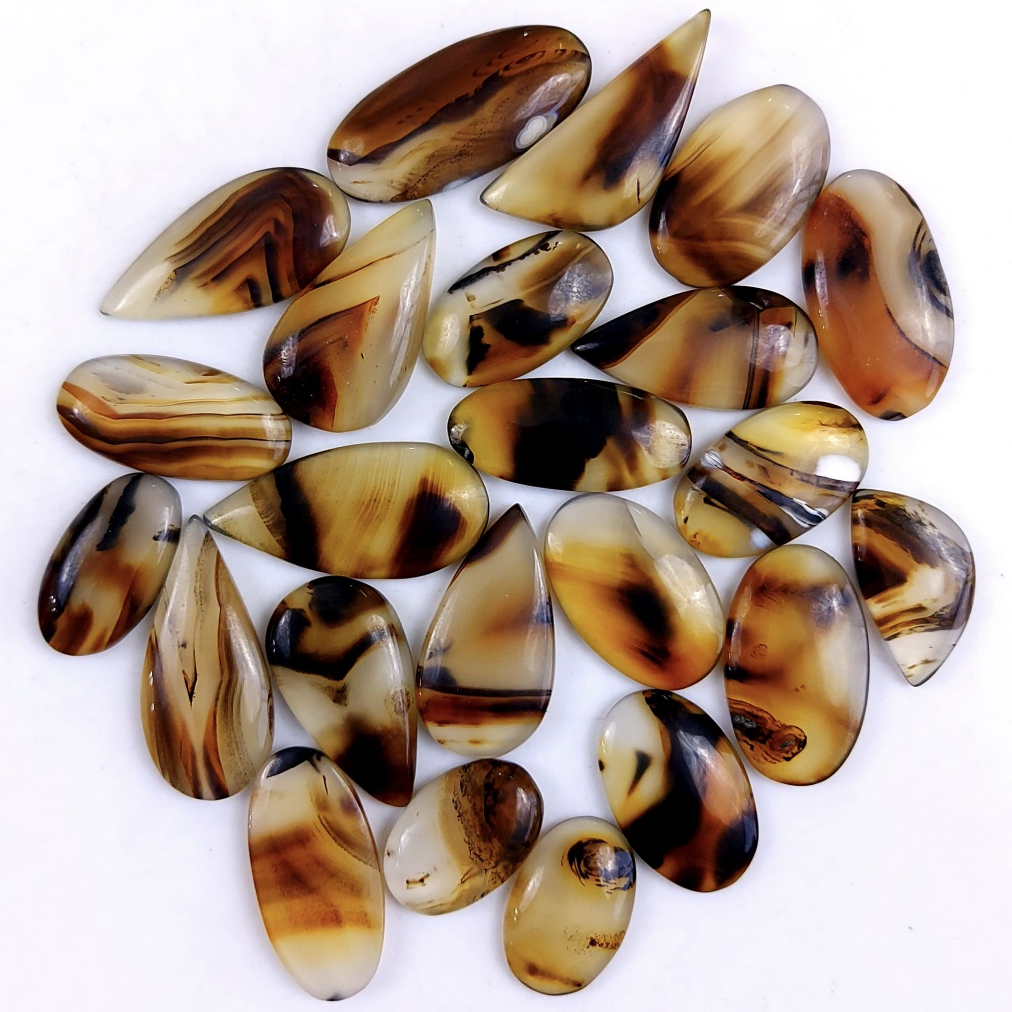 26Pcs 326Cts Natural Montana Agate Cabochon Lot Brown Flat Back Gemstone Crystal Wholesale Loose gemstone For Jewelry Making 35x13 14x14mm