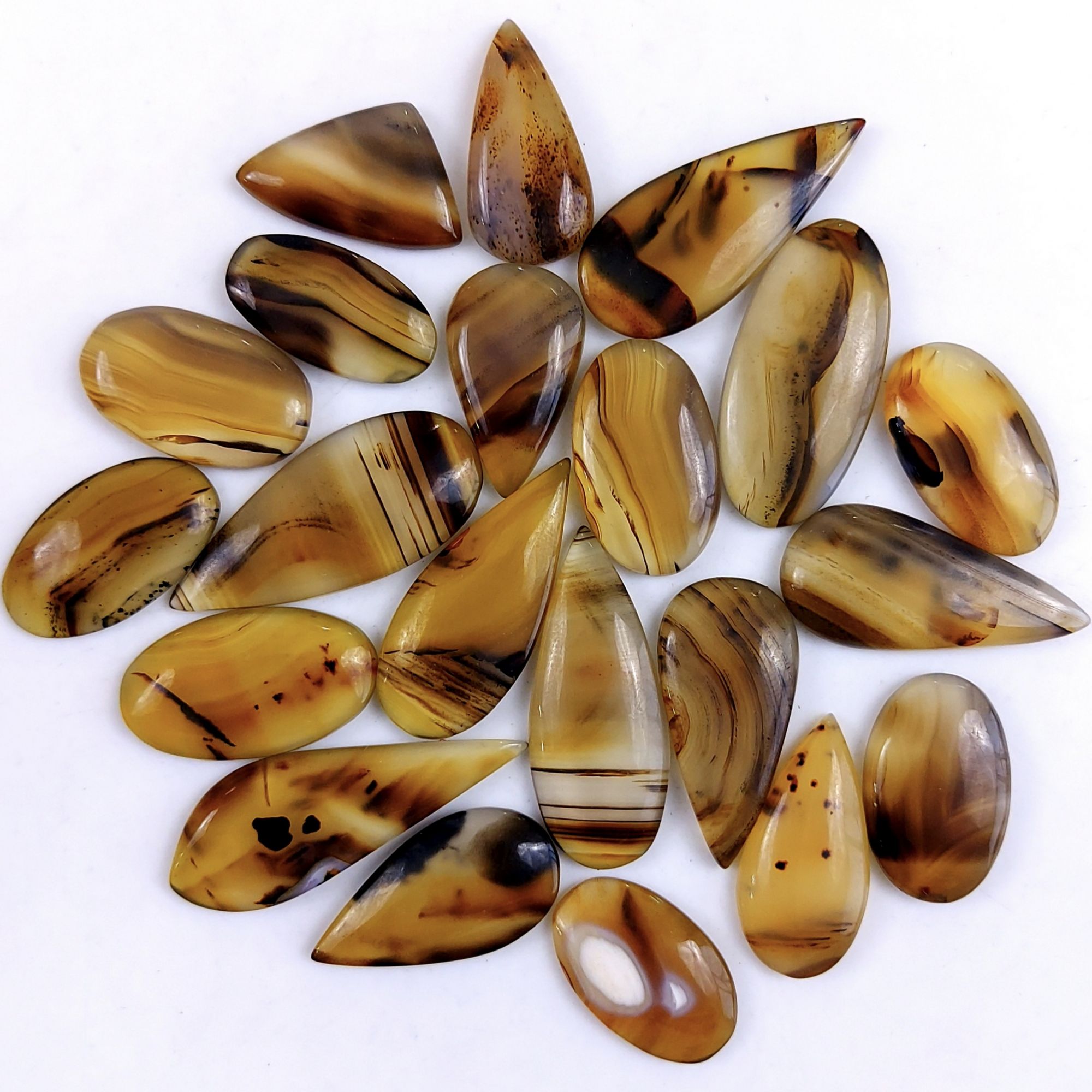 22Pcs 288Cts Natural Montana Agate Cabochon Lot Brown Flat Back Gemstone Crystal Wholesale Loose gemstone For Jewelry Making 25x13 15x11mm