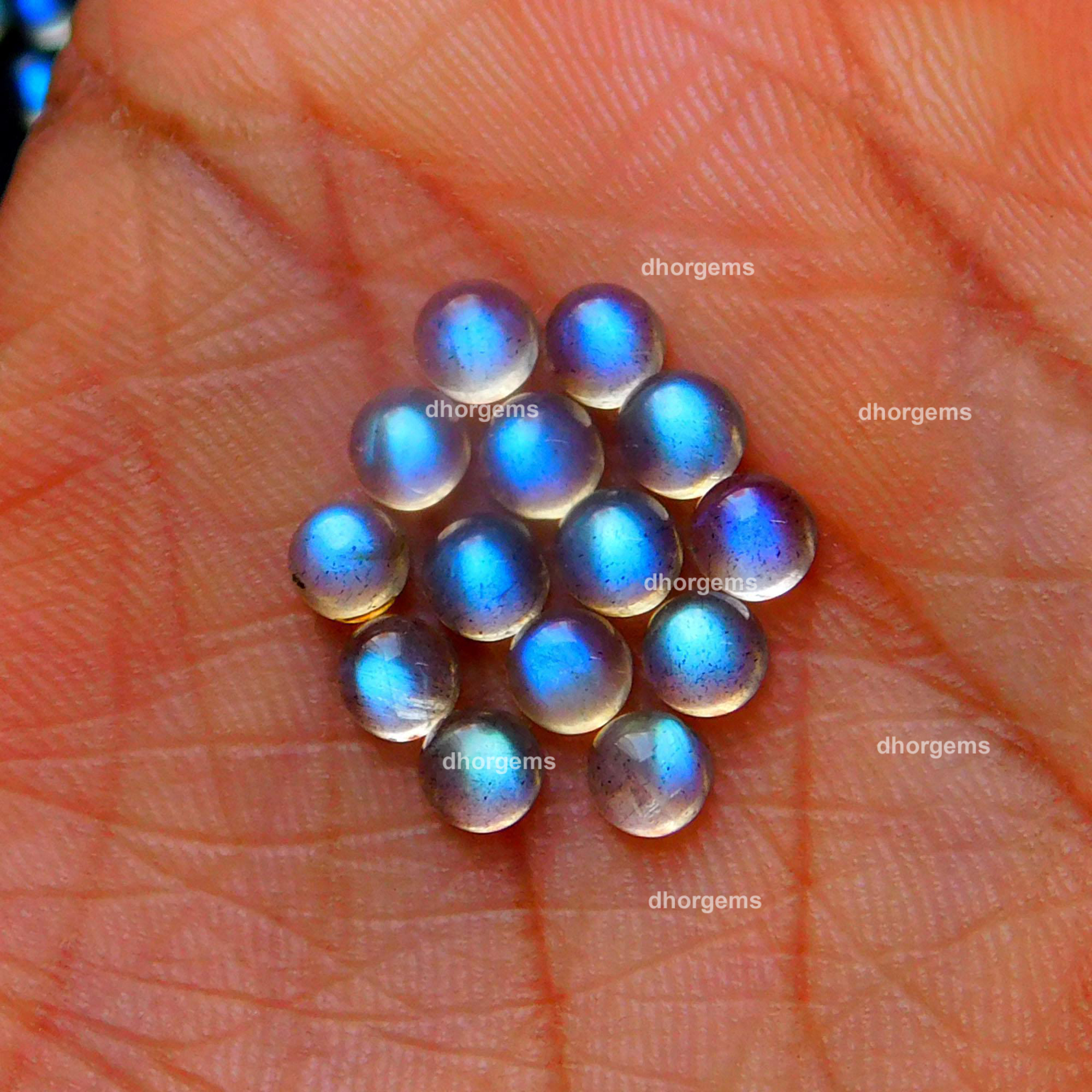 299Pcs 49.85Cts Natural Blue Fire Labradorite Loose Cabochon Calibrated Round Shape Gemstone Lot 3mm#9137