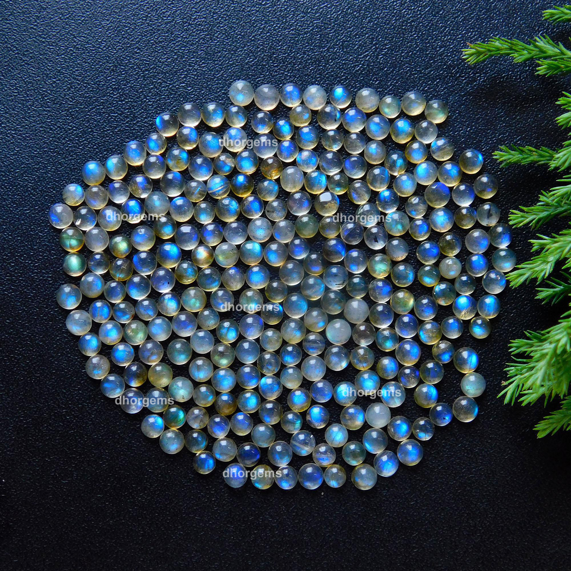 24Pcs 855 Cts Natural Blue Fire Labradorite Loose Cabochon Calibrated Round Shape Gemstone Lot 4mmR-9138
