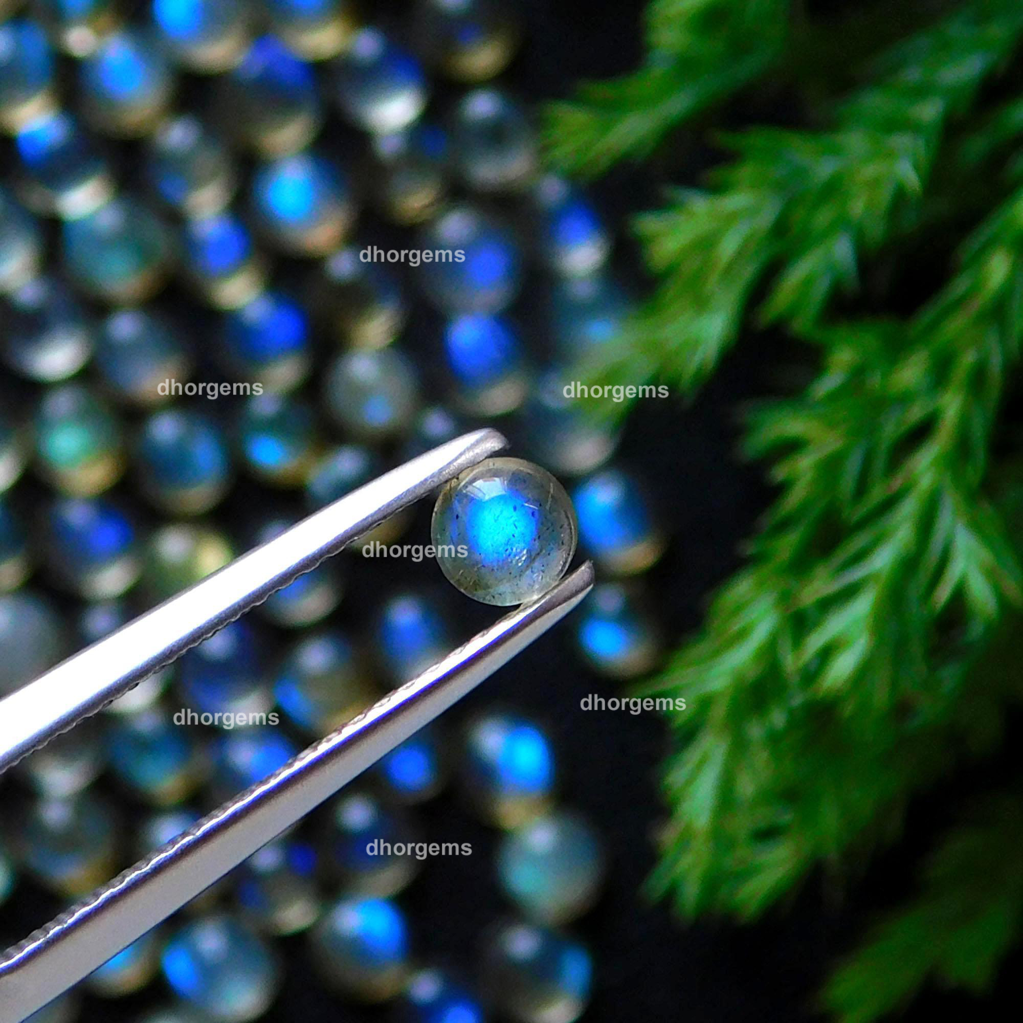 24Pcs 855 Cts Natural Blue Fire Labradorite Loose Cabochon Calibrated Round Shape Gemstone Lot 4mmR-9138