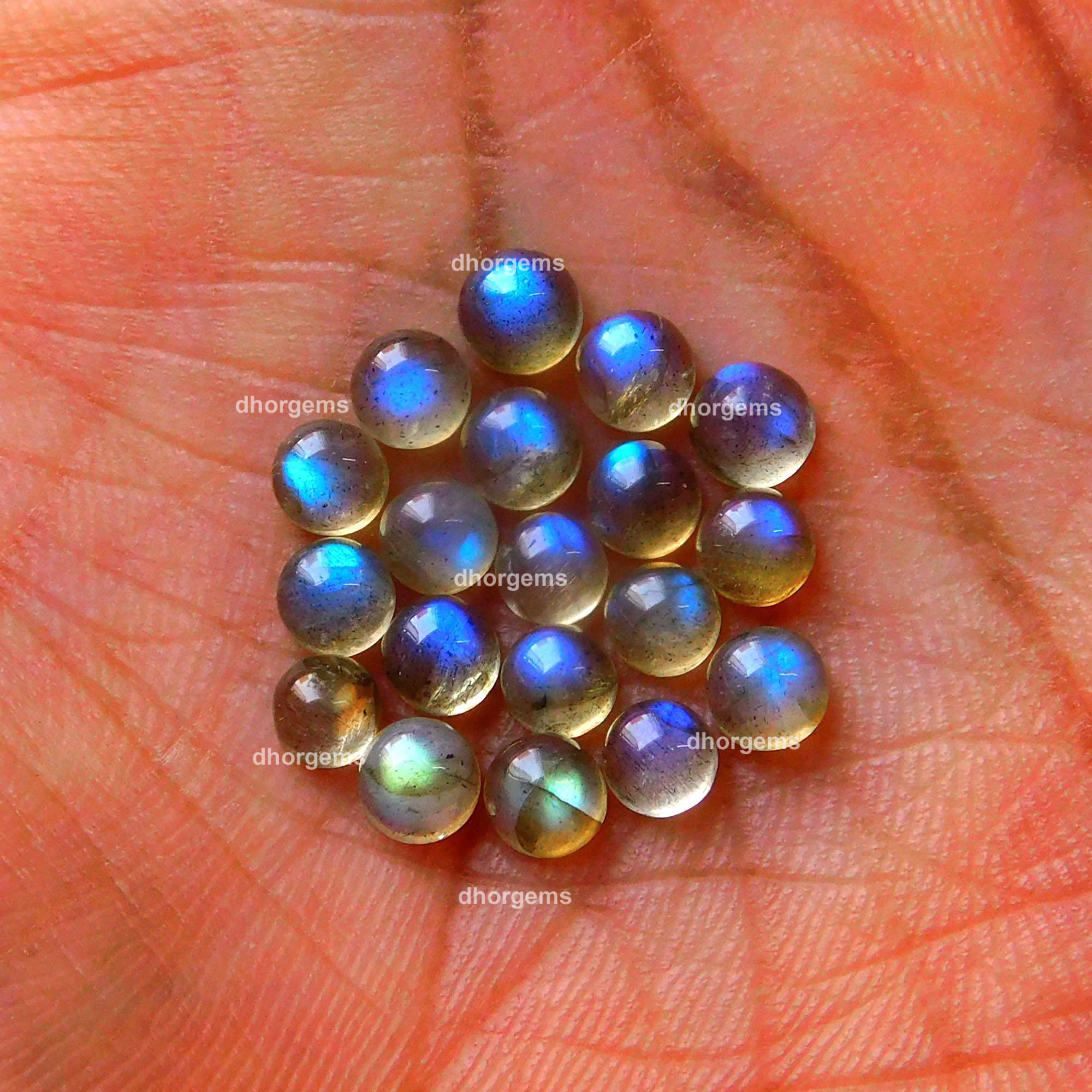 24Pcs 855 Cts Natural Blue Fire Labradorite Loose Cabochon Calibrated Round Shape Gemstone Lot 4mmR-9138
