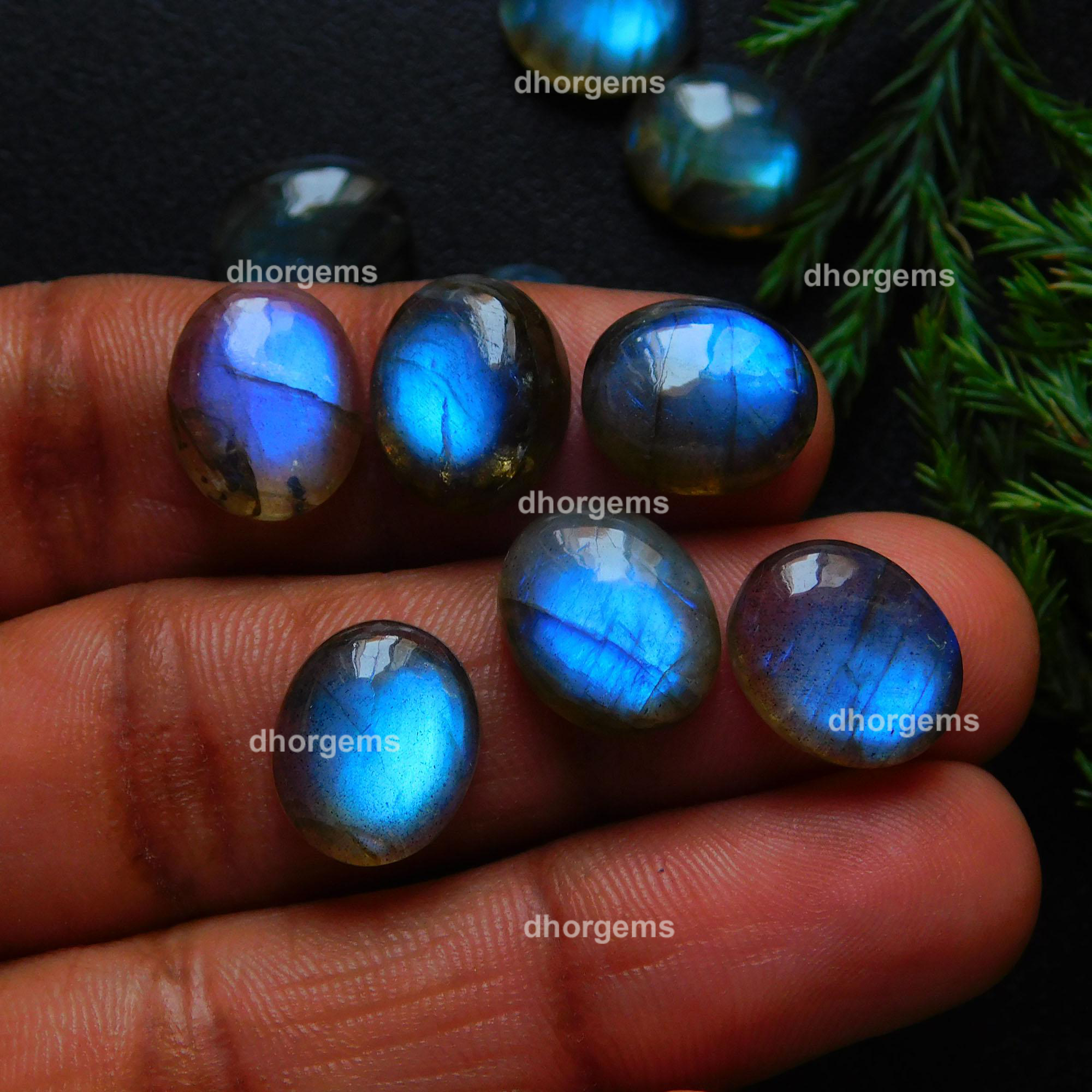 15Pcs 77Cts Natural Blue Fire Labradorite Loose Cabochon Calibrated Oval Shape Gemstone Lot 10x12mm#9222