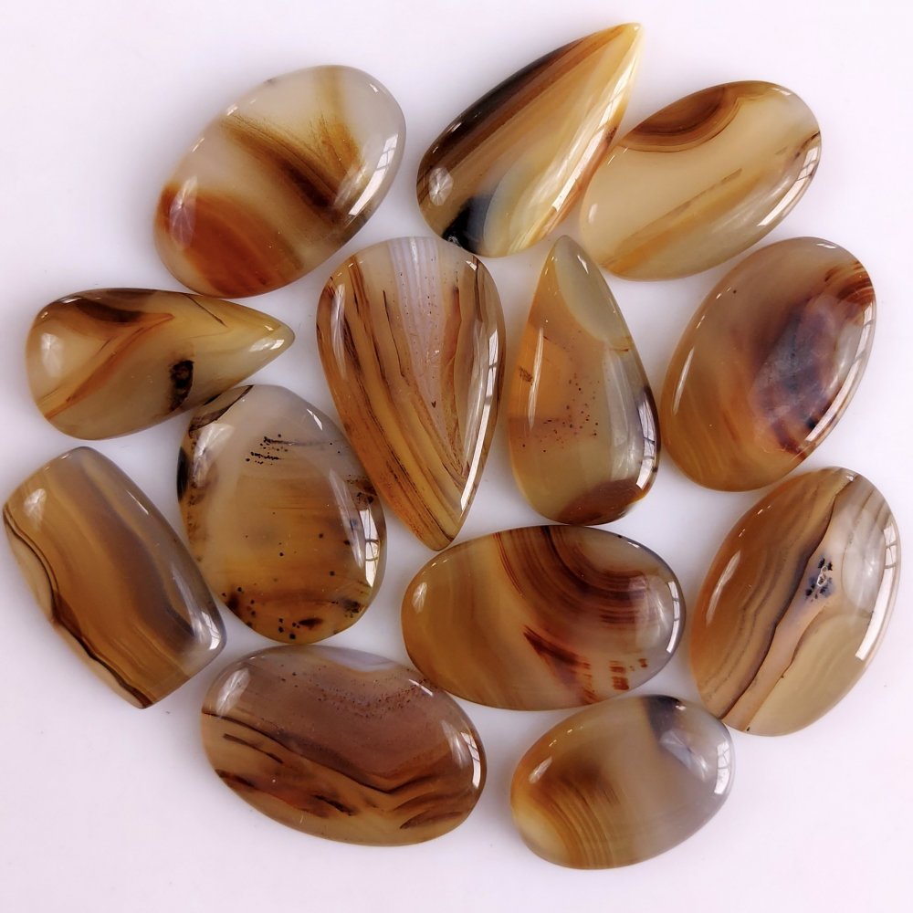 13Pcs 282Cts Natural Montana Agate Cabochon Lot Brown Flat Back Gemstone Crystal Wholesale Loose gemstone For Jewelry Making30x16 22x13mm#9515