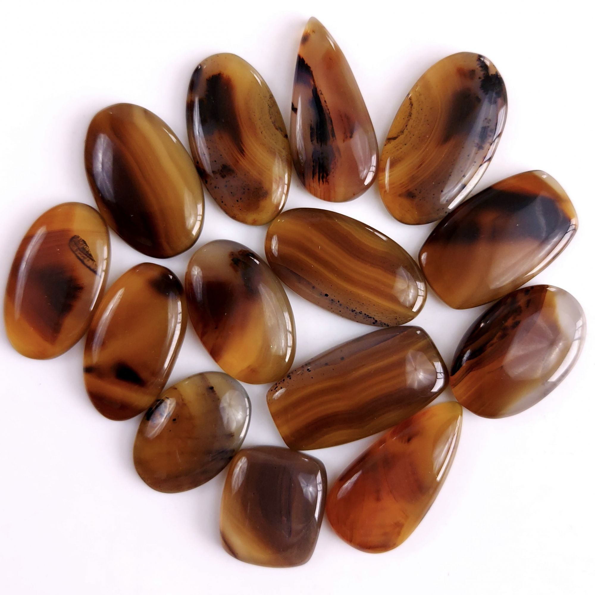 14Pcs 342Cts Natural Montana Agate Cabochon Lot Brown Flat Back Gemstone Crystal Wholesale Loose gemstone For Jewelry Making28x16 18x16mm9516