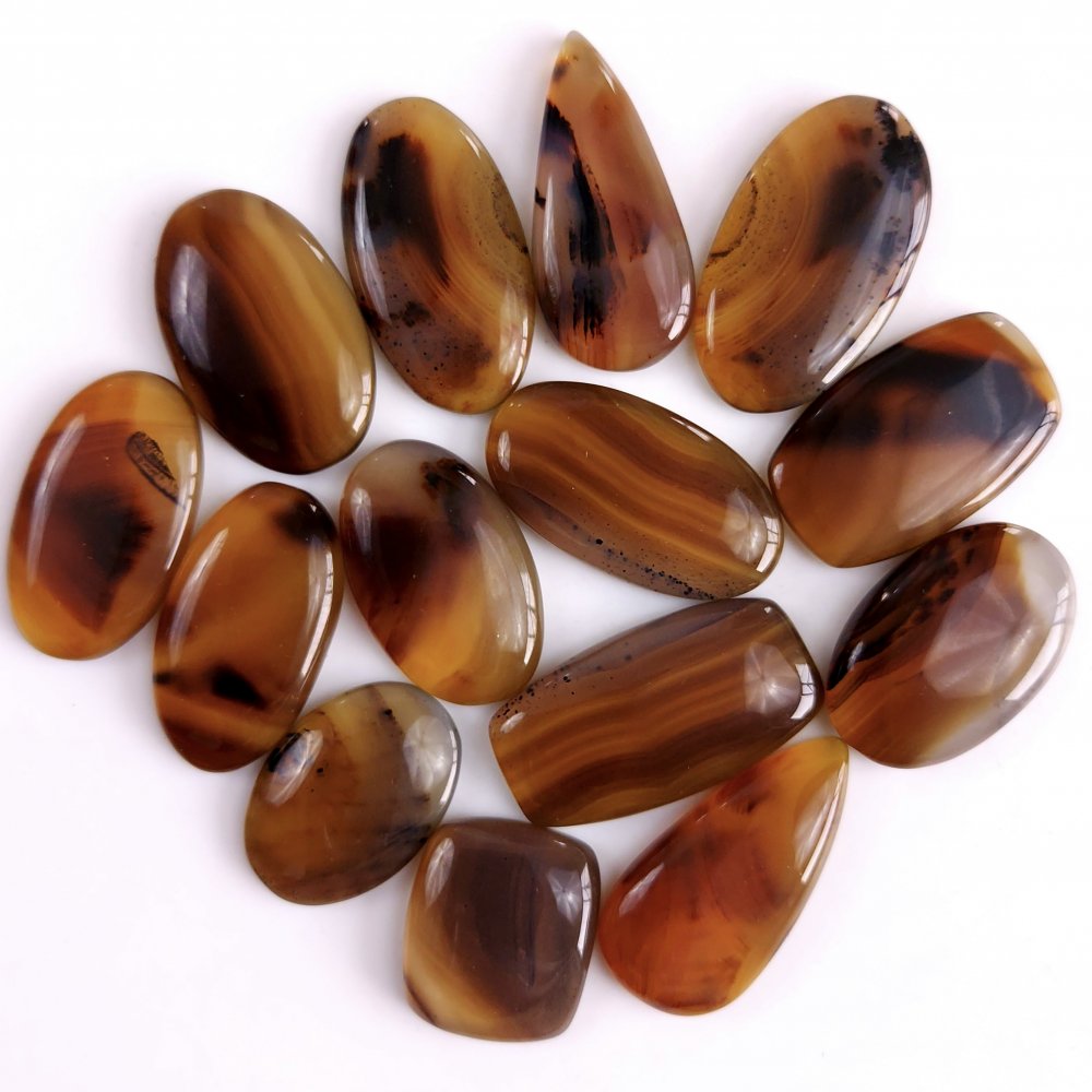 14Pcs 342Cts Natural Montana Agate Cabochon Lot Brown Flat Back Gemstone Crystal Wholesale Loose gemstone For Jewelry Making28x16 18x16mm#9516