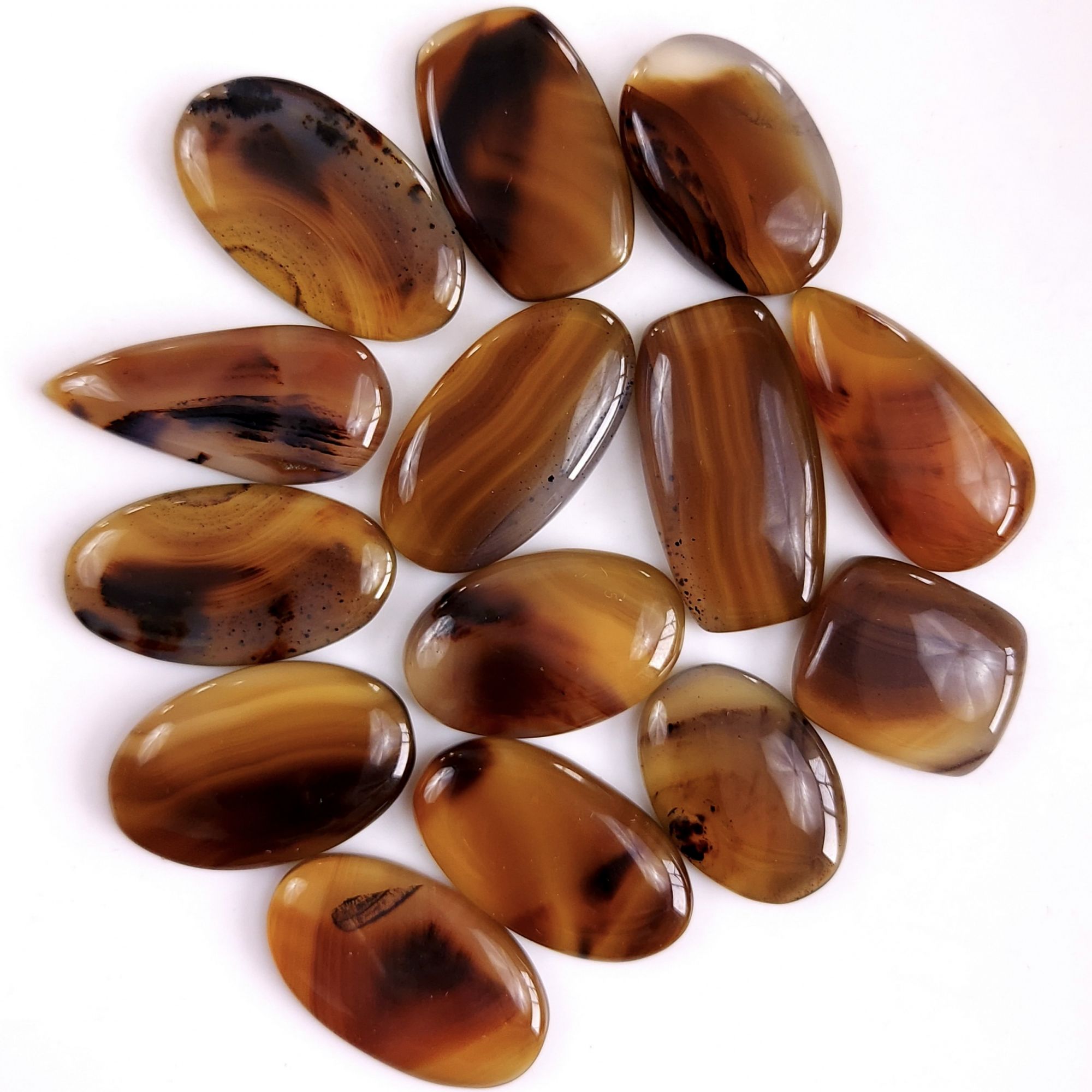 14Pcs 342Cts Natural Montana Agate Cabochon Lot Brown Flat Back Gemstone Crystal Wholesale Loose gemstone For Jewelry Making28x16 18x16mm9516