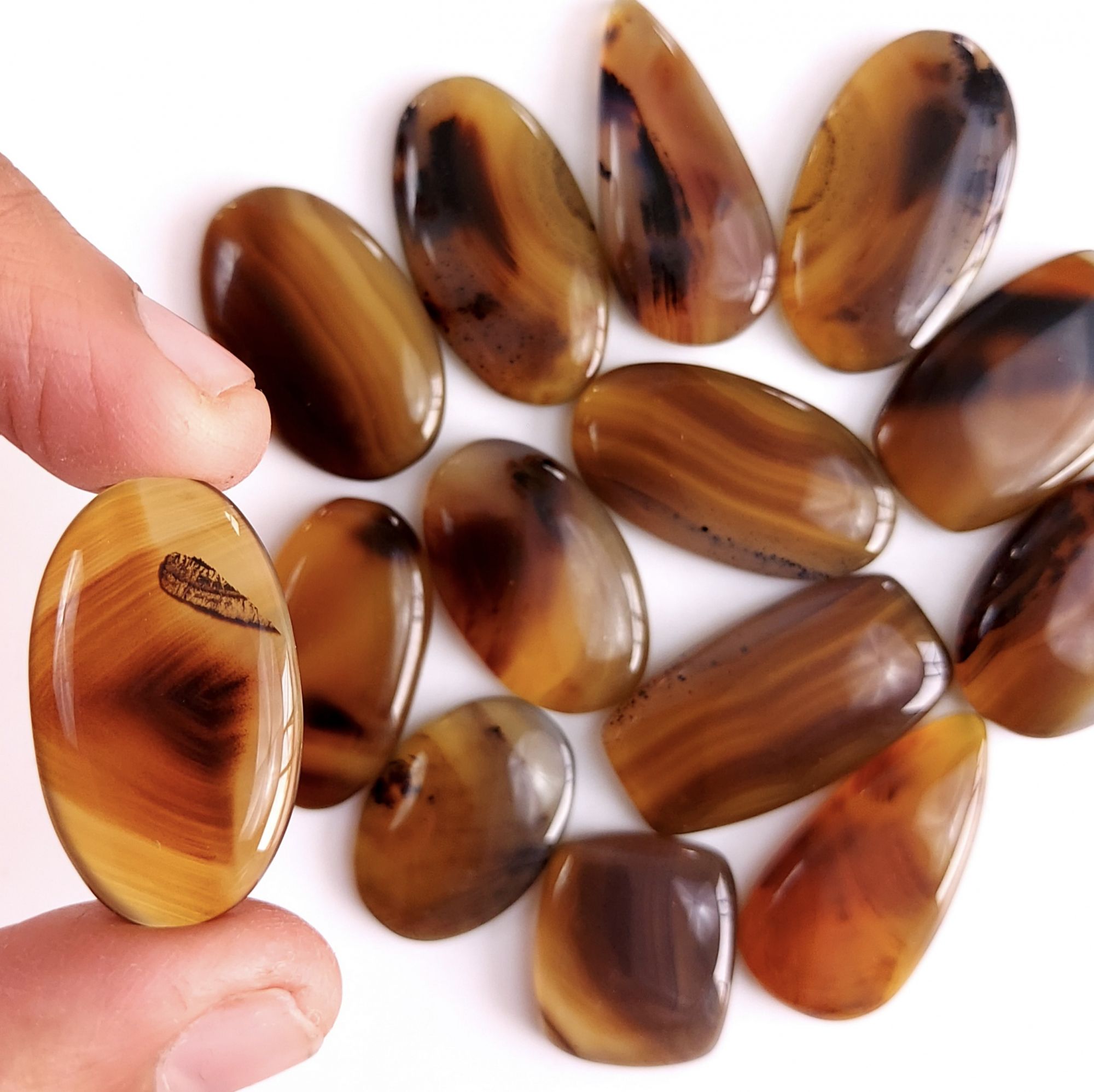 14Pcs 342Cts Natural Montana Agate Cabochon Lot Brown Flat Back Gemstone Crystal Wholesale Loose gemstone For Jewelry Making28x16 18x16mm9516