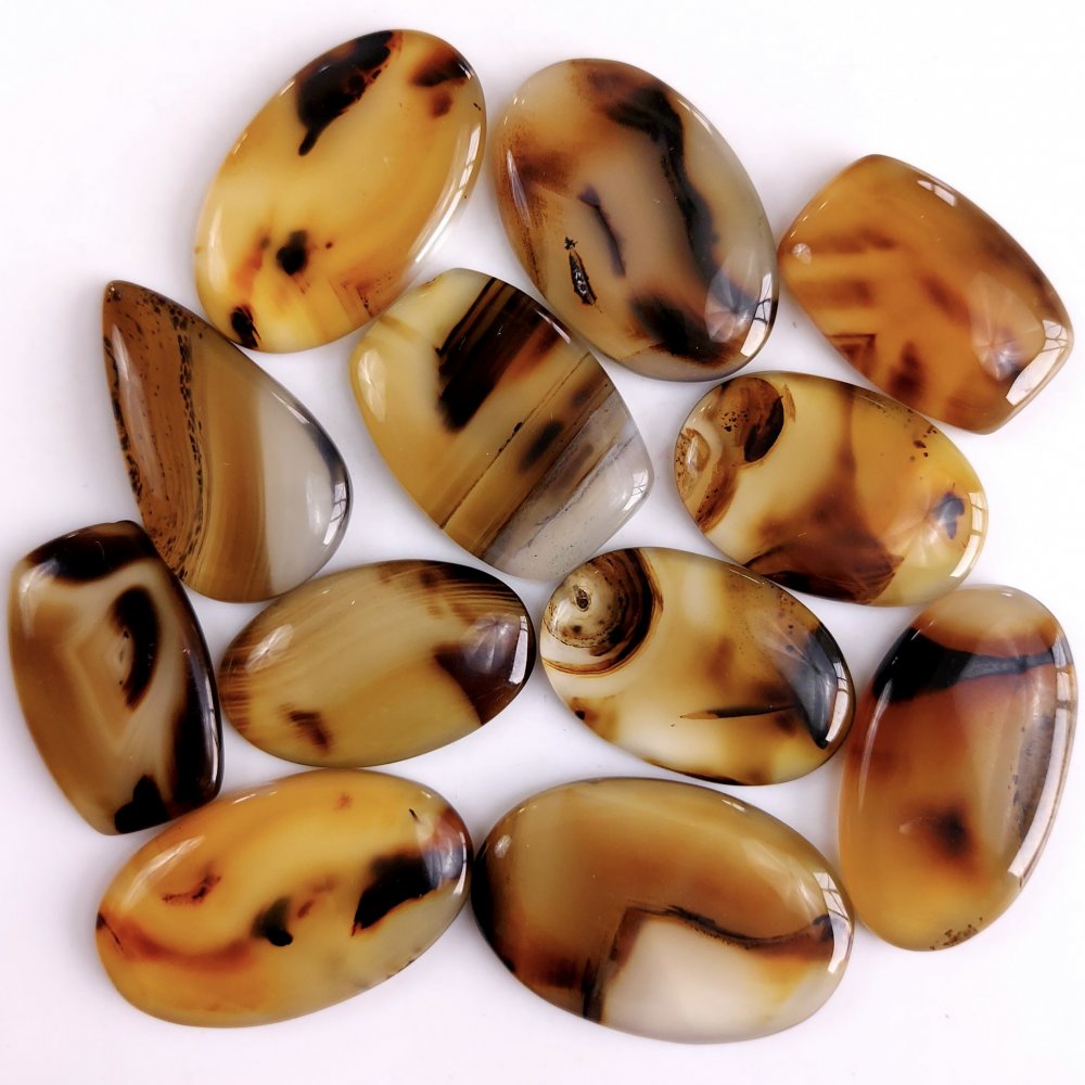 12Pcs 401Cts Natural Montana Agate Cabochon Lot Brown Flat Back Gemstone Crystal Wholesale Loose gemstone For Jewelry Making35x23 30x18mm#9522
