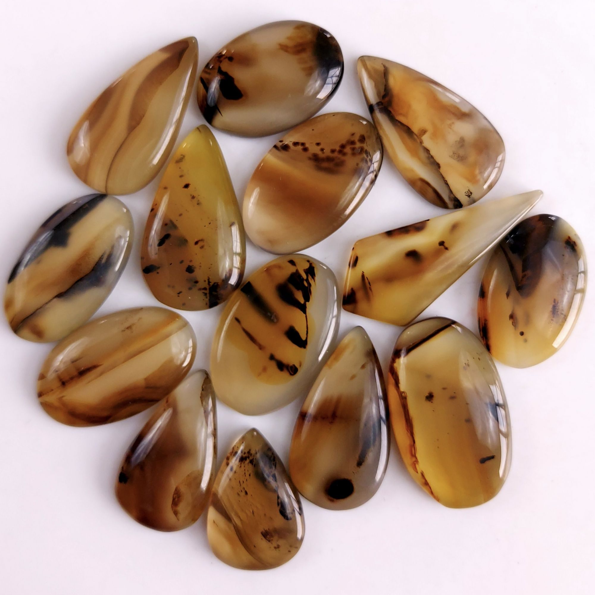 14Pcs 281Cts Natural Montana Agate Cabochon Lot Brown Flat Back Gemstone Crystal Wholesale Loose gemstone For Jewelry Making28x15 21x13mm9524
