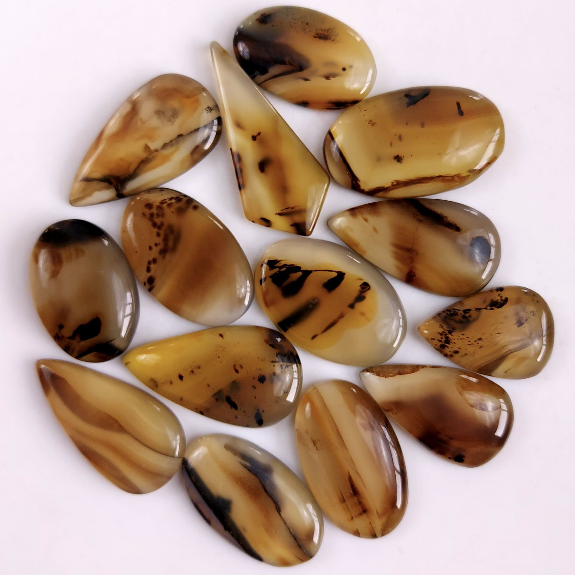 14Pcs 281Cts Natural Montana Agate Cabochon Lot Brown Flat Back Gemstone Crystal Wholesale Loose gemstone For Jewelry Making28x15 21x13mm9524