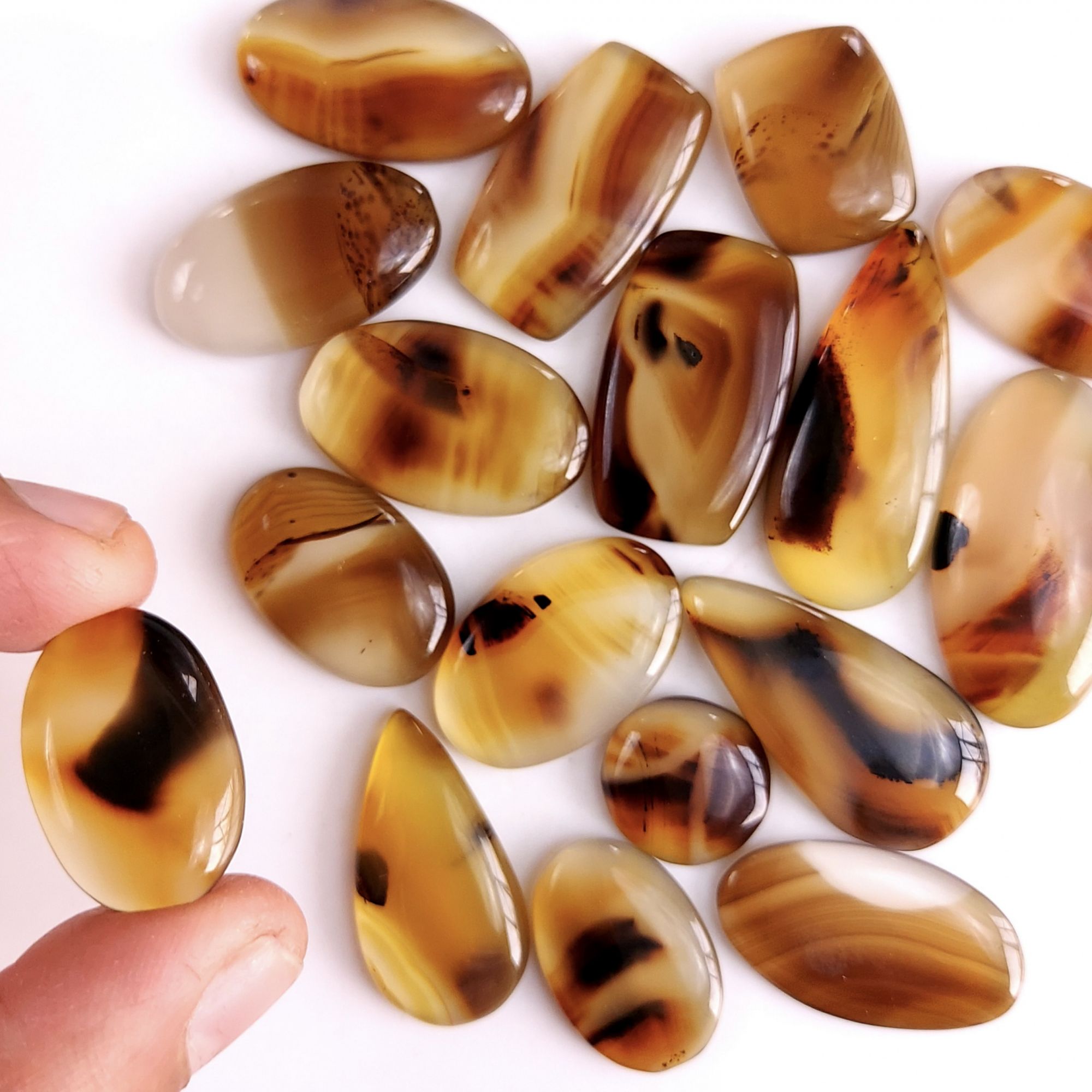 17Pcs 335Cts Natural Montana Agate Cabochon Lot Brown Flat Back Gemstone Crystal Wholesale Loose gemstone For Jewelry Making31x15 13x13mm9526