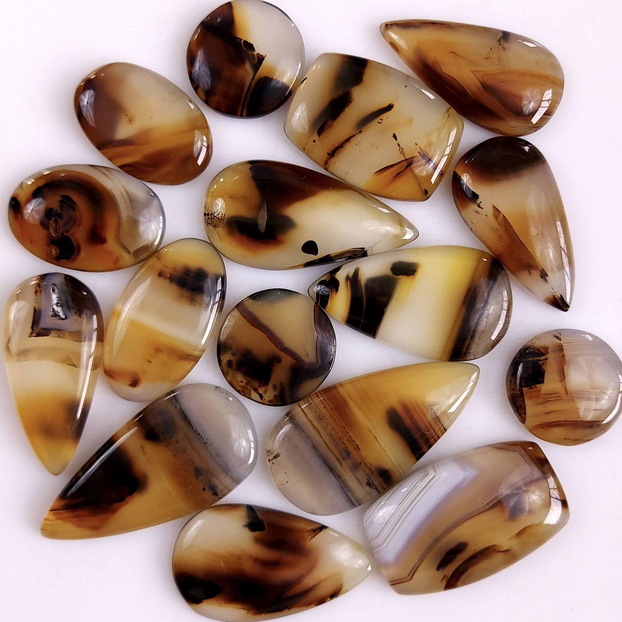 16Pcs 325Cts Natural Montana Agate Cabochon Lot Brown Flat Back Gemstone Crystal Wholesale Loose gemstone For Jewelry Making28x16 15x15mm9529