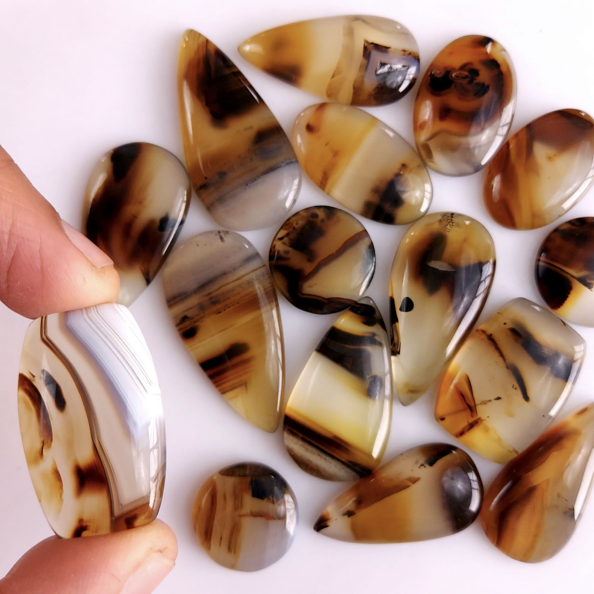 16Pcs 325Cts Natural Montana Agate Cabochon Lot Brown Flat Back Gemstone Crystal Wholesale Loose gemstone For Jewelry Making28x16 15x15mm9529