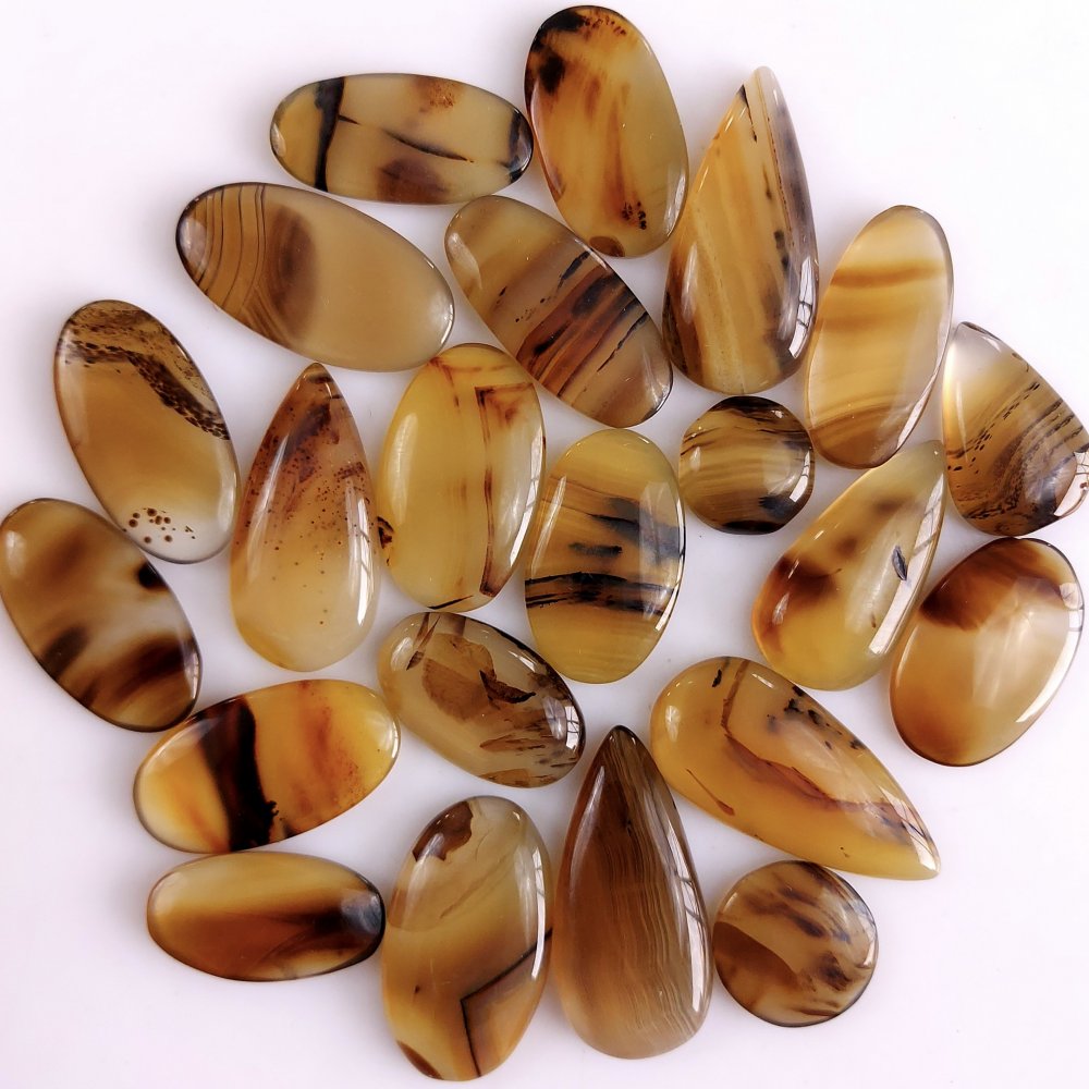 22Pcs 276Cts Natural Montana Agate Cabochon Lot Brown Flat Back Gemstone Crystal Wholesale Loose gemstone For Jewelry Making28x12 10x10mm#9535