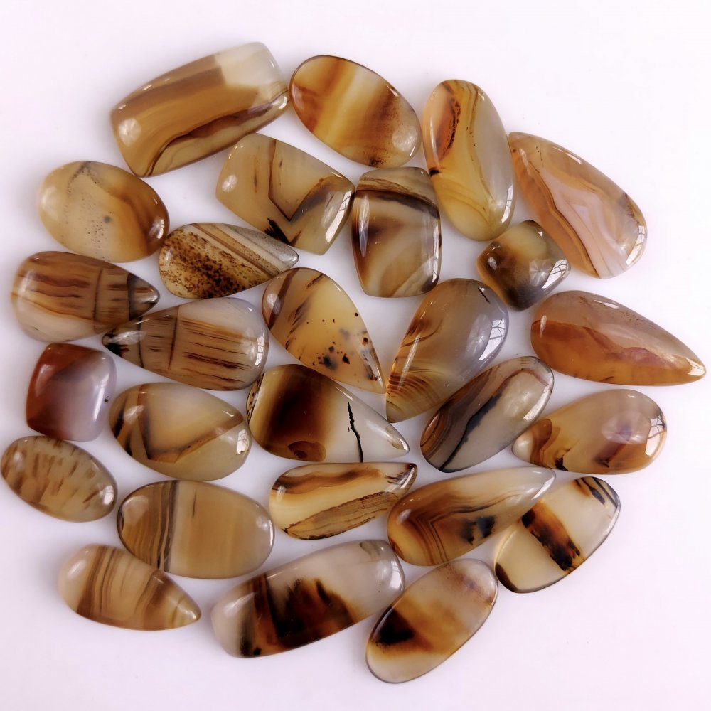 27Pcs 370Cts Natural Montana Agate Cabochon Lot Brown Flat Back Gemstone Crystal Wholesale Loose gemstone For Jewelry Making27x12 10x10mm#9537