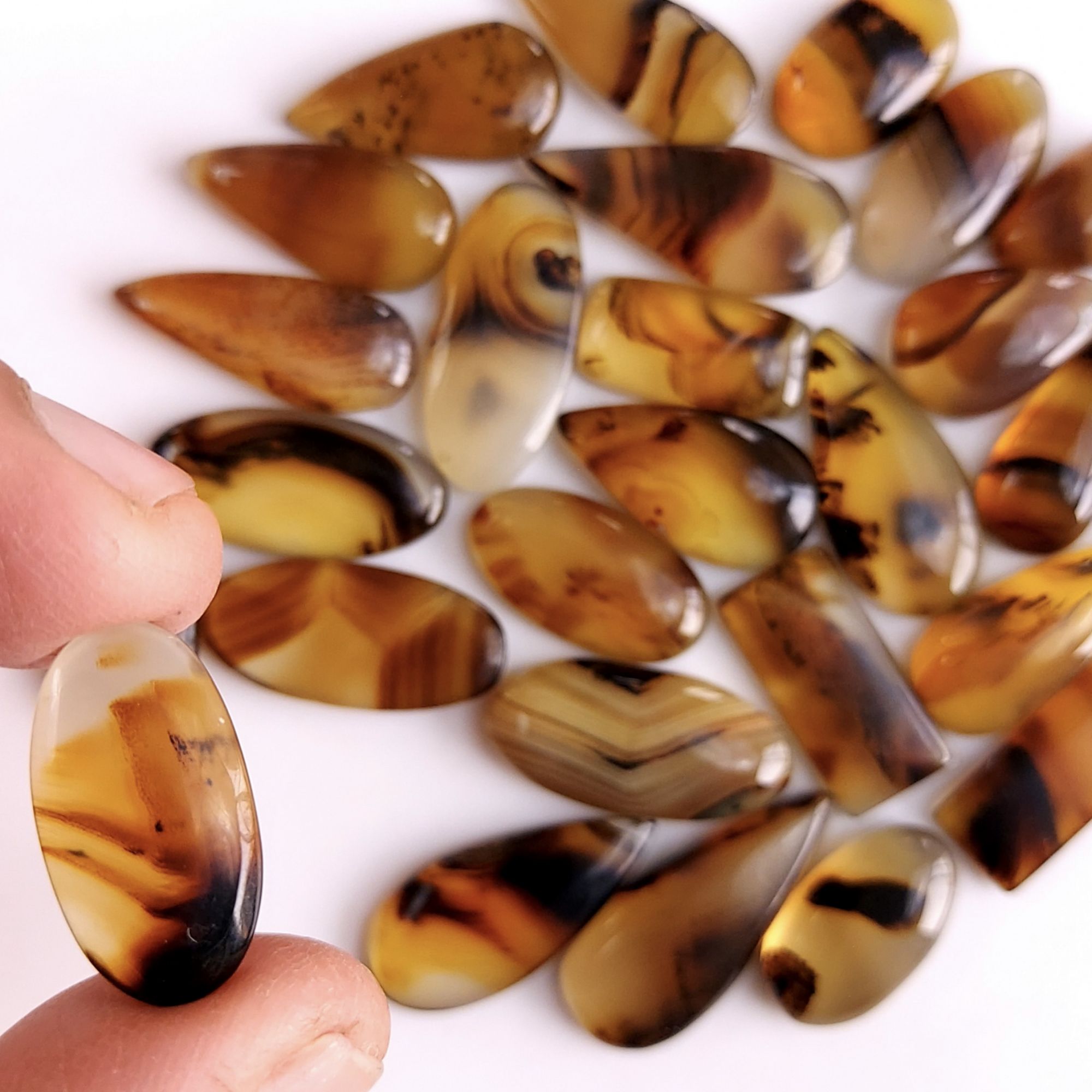 27Pcs 237Cts Natural Montana Agate Cabochon Lot Brown Flat Back Gemstone Crystal Wholesale Loose gemstone For Jewelry Making22x8 14x8mm9544