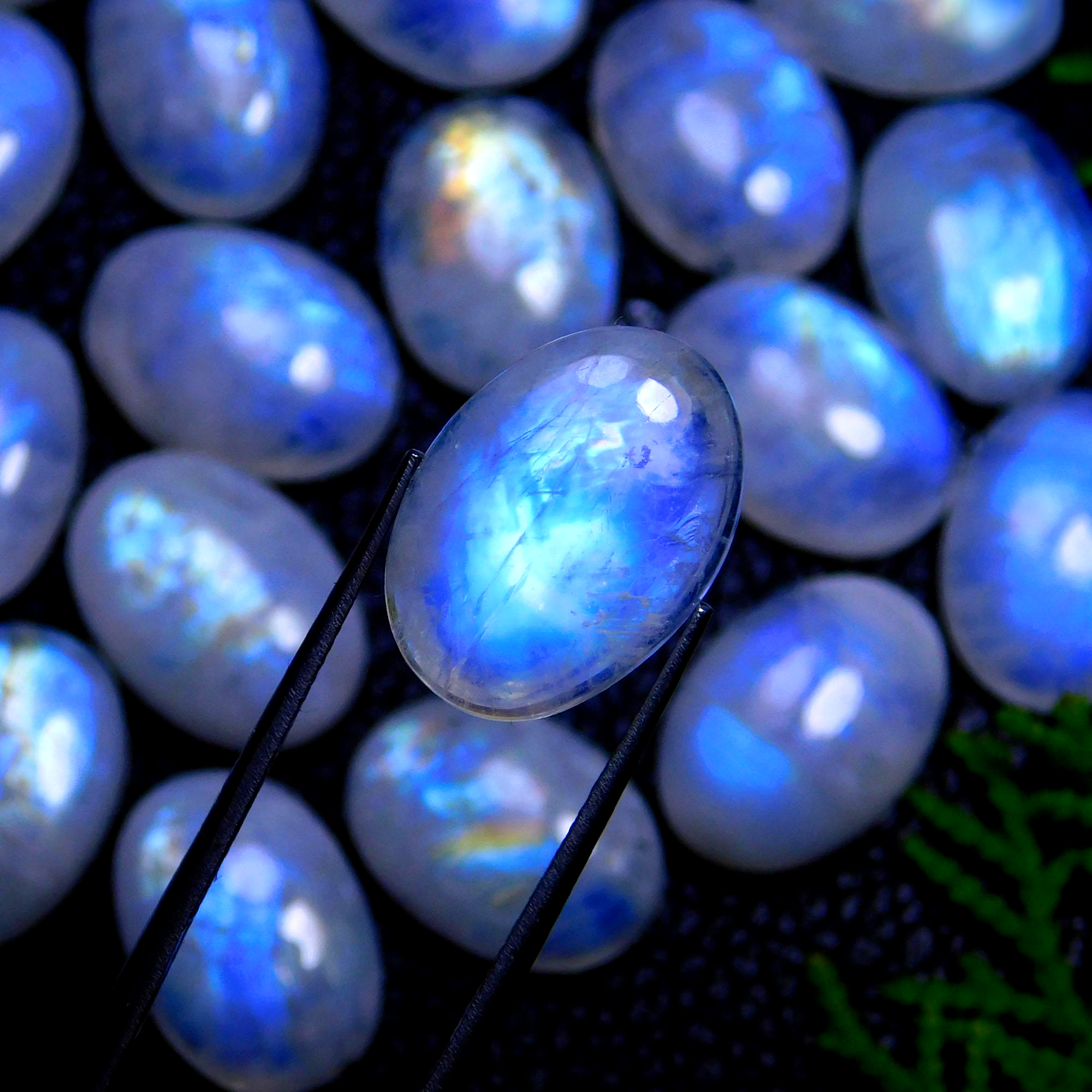 25Pcs 296Cts Natural Rainbow Moonstone Oval Shape Blue Fire Cabochon Lot Loose Gemstone Jewelry Crystal For Birthday Gift 18X13mm #9810