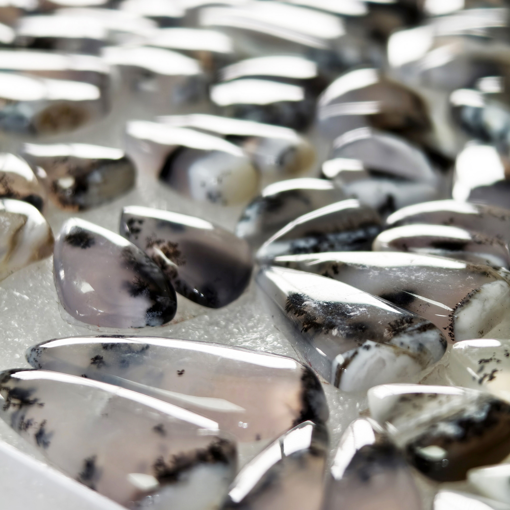 Natural Dendrite Agate Cabochon Matching Pair 17 Cts Earring Gemstones 13x7x3  25x12x3mm  Polished Natural Loose Stones