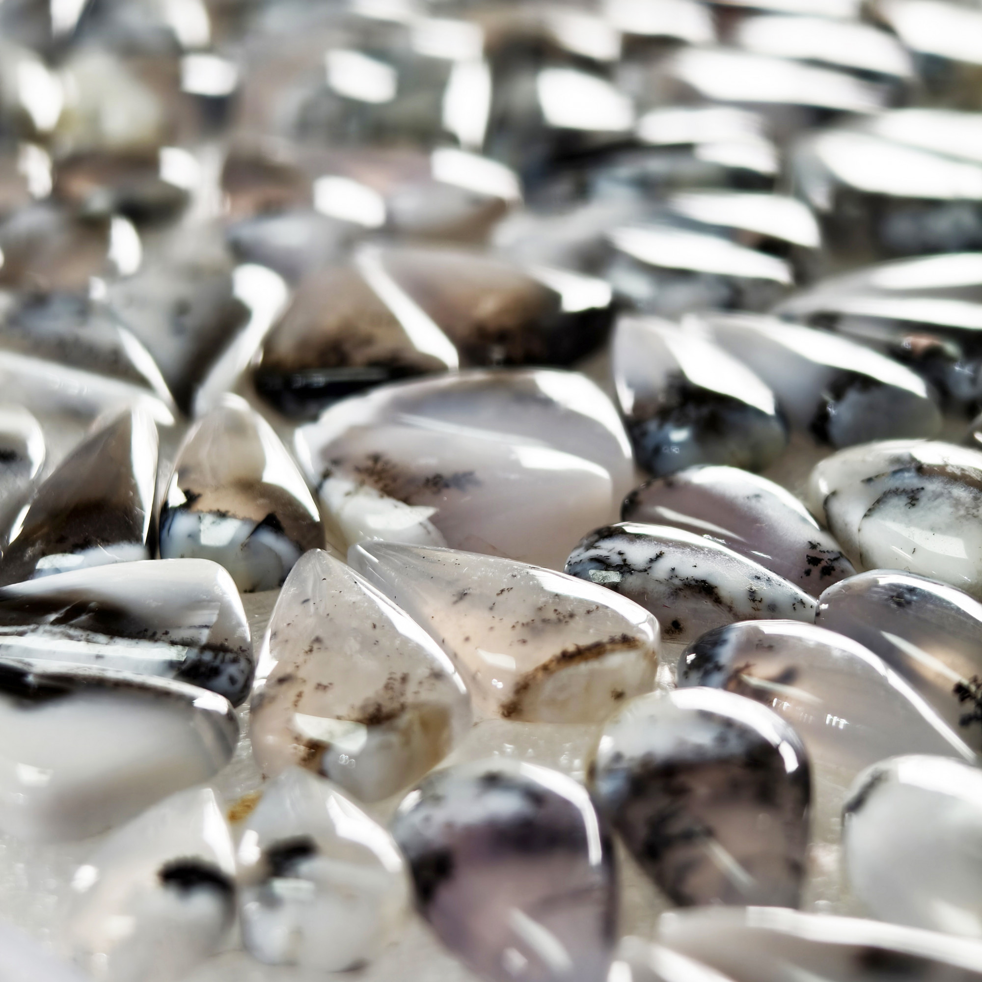 Natural Dendrite Agate Earring Pair Gemstone Matching Cabochons 13x6x324x12x3mm Jewelry Making Stones 12 ct Avg