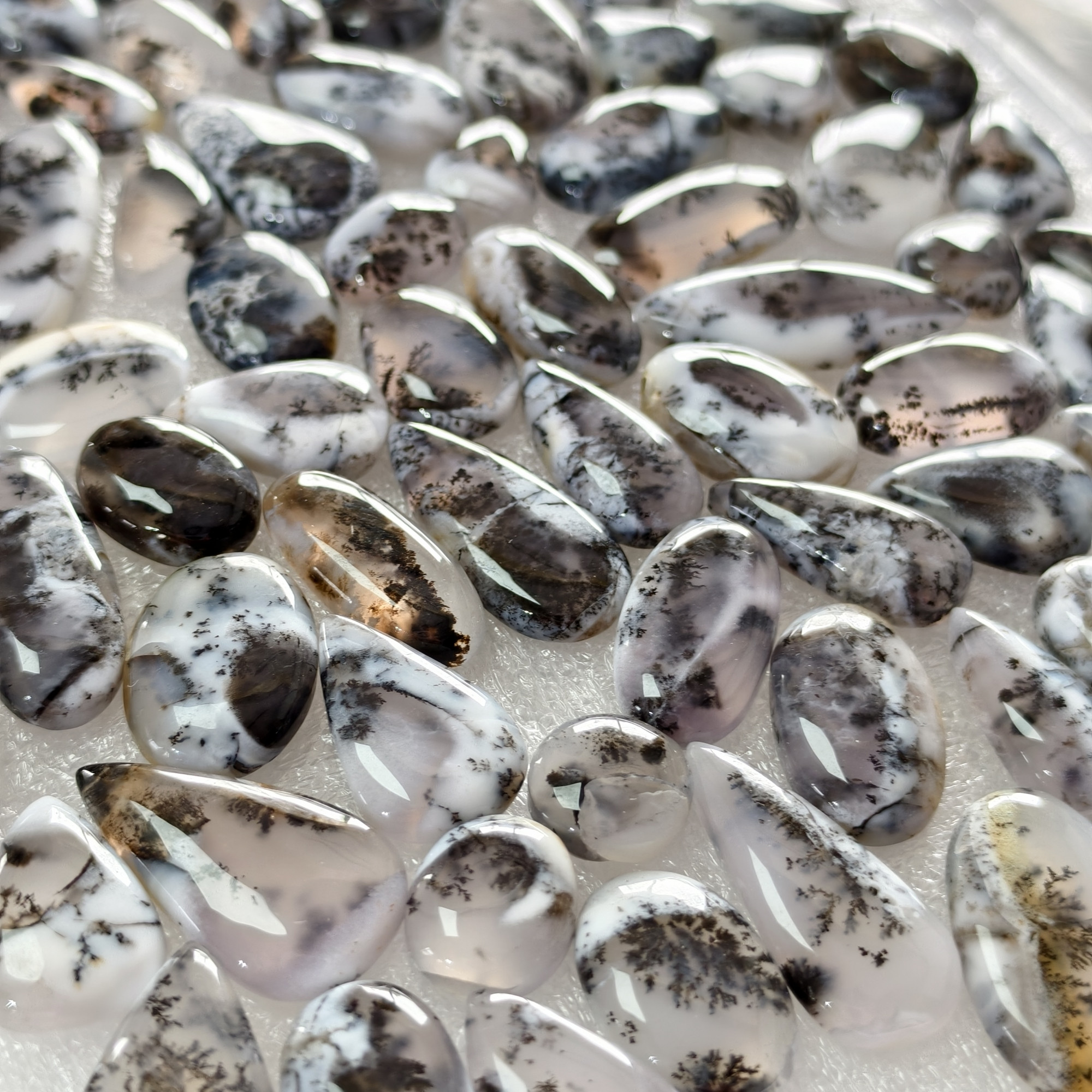 Natural Dendrite Agate  Cabochon Gemstones  Wholesale Bulk Jewelery  Making 10x10x3mm 28x11x3mm 10 cts  Average