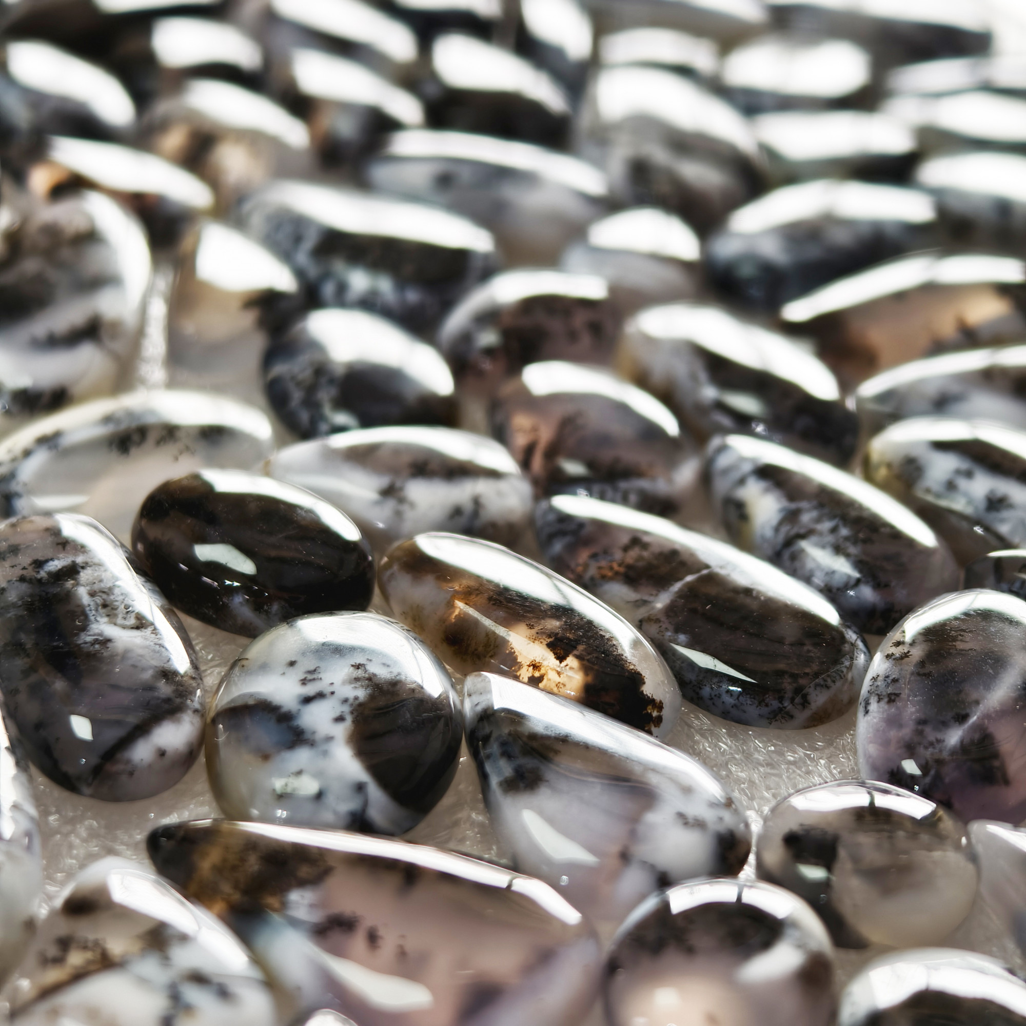 Natural Dendrite Agate Cabochon Gemstones Wholesale Bulk Jewelery Making 10x10x3mm 28x11x3mm 10 cts Average