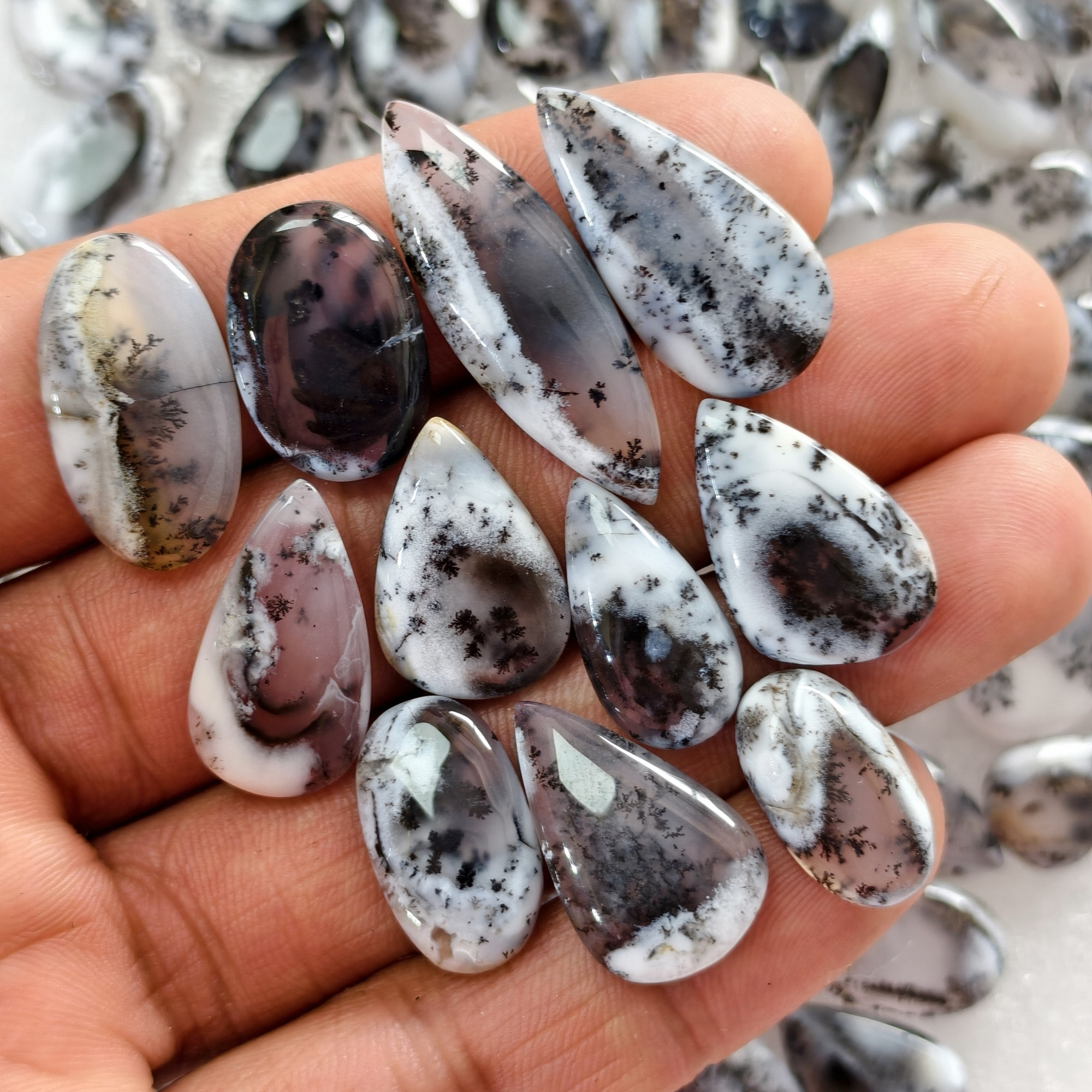 Natural Dendrite Agate  Cabochon Gemstones  Wholesale Bulk Jewelery  Making 10x10x3mm 28x11x3mm 10 cts  Average